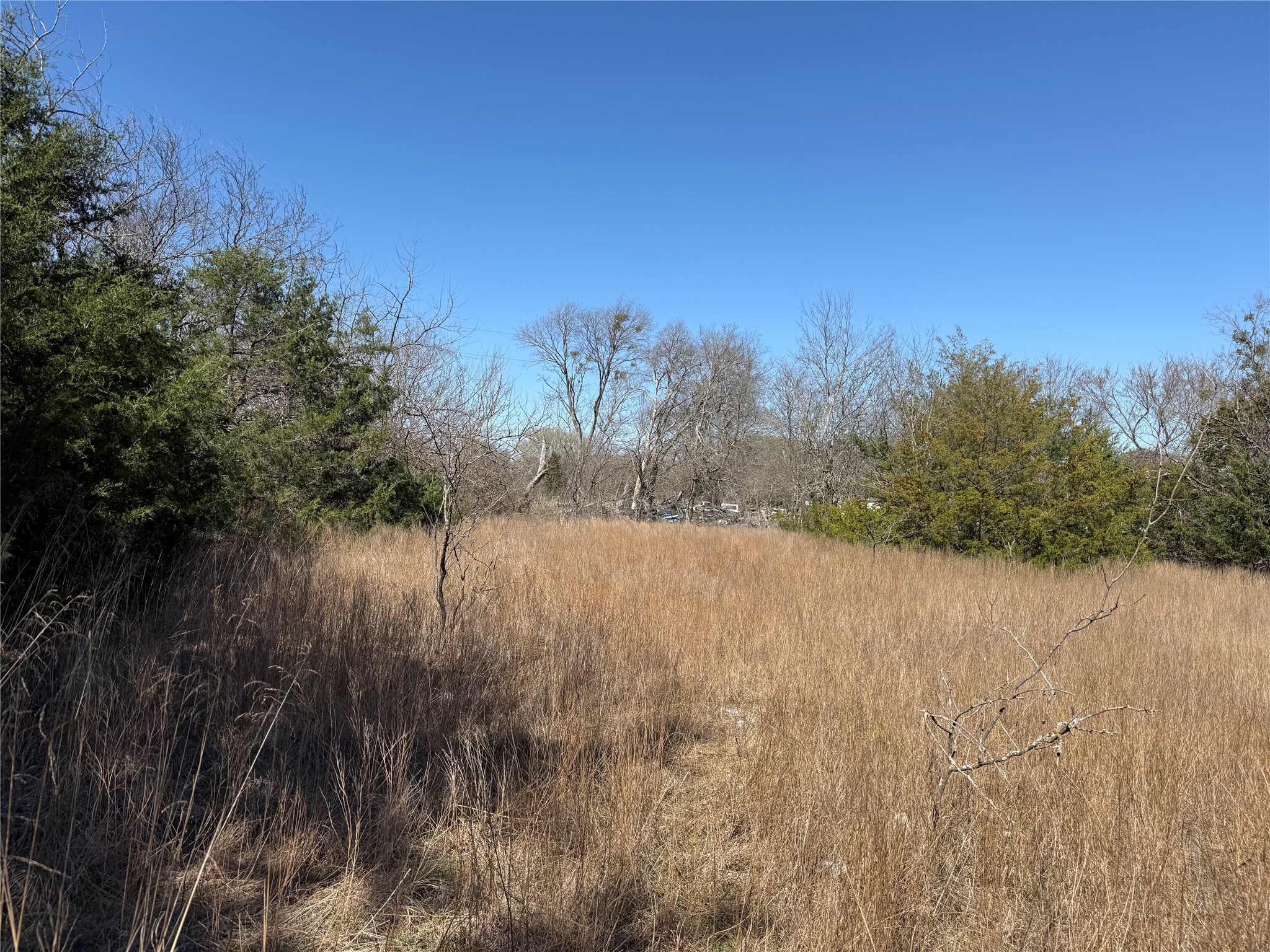 Lots 162A, 162B, 163A SW CR 4011