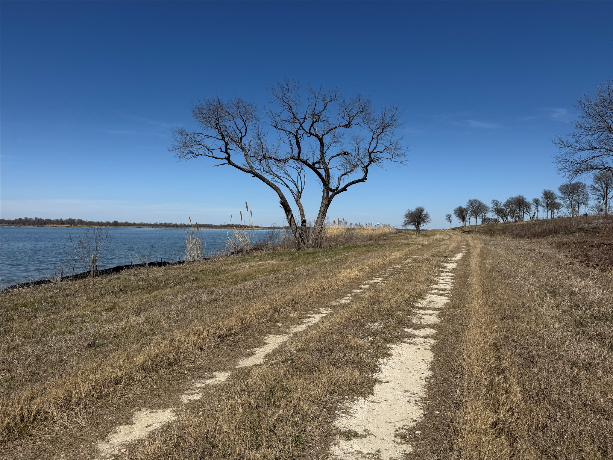 Lot 92 Shoreside Drive