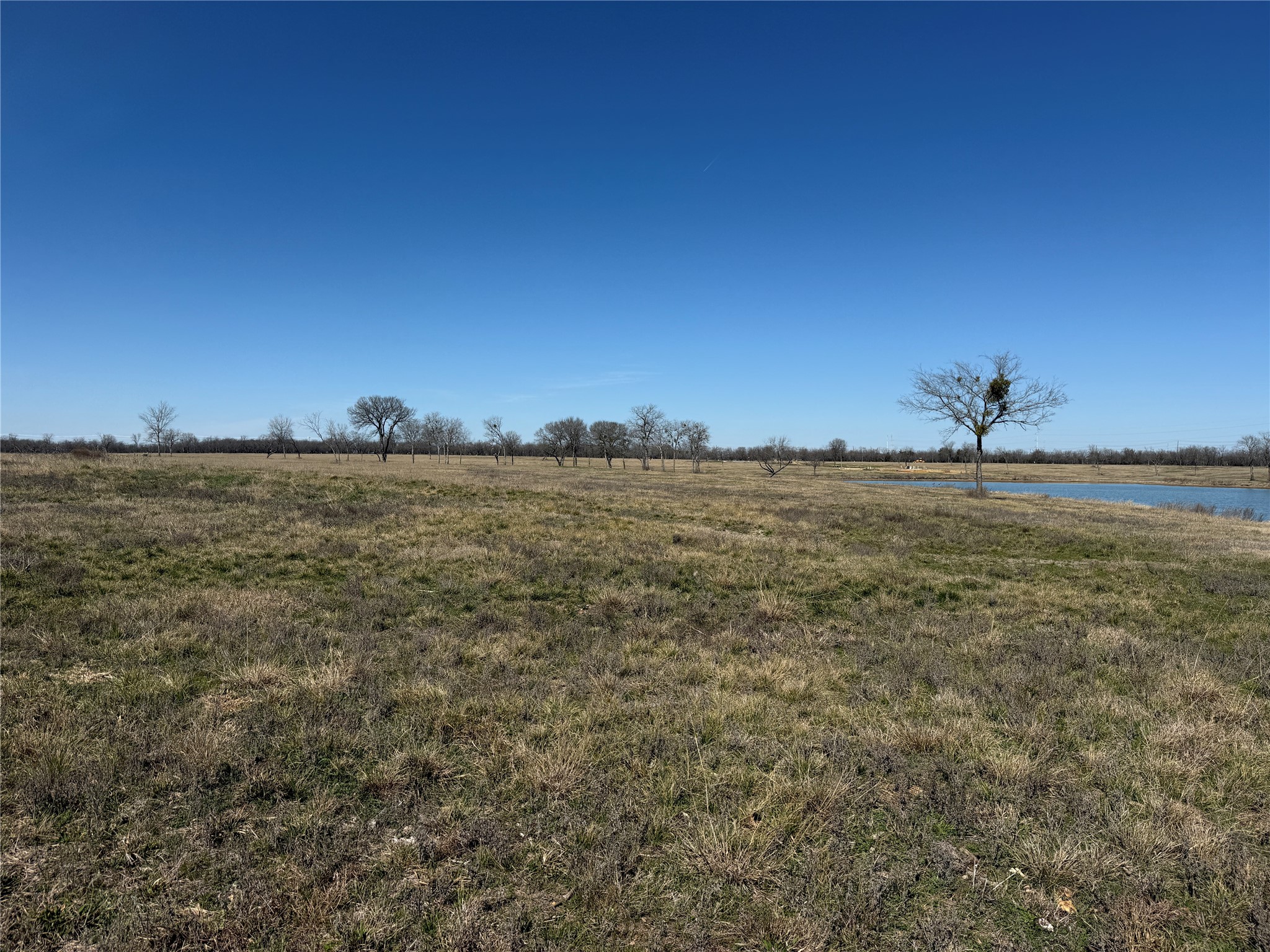 Lot 87 Bauer Boulevard