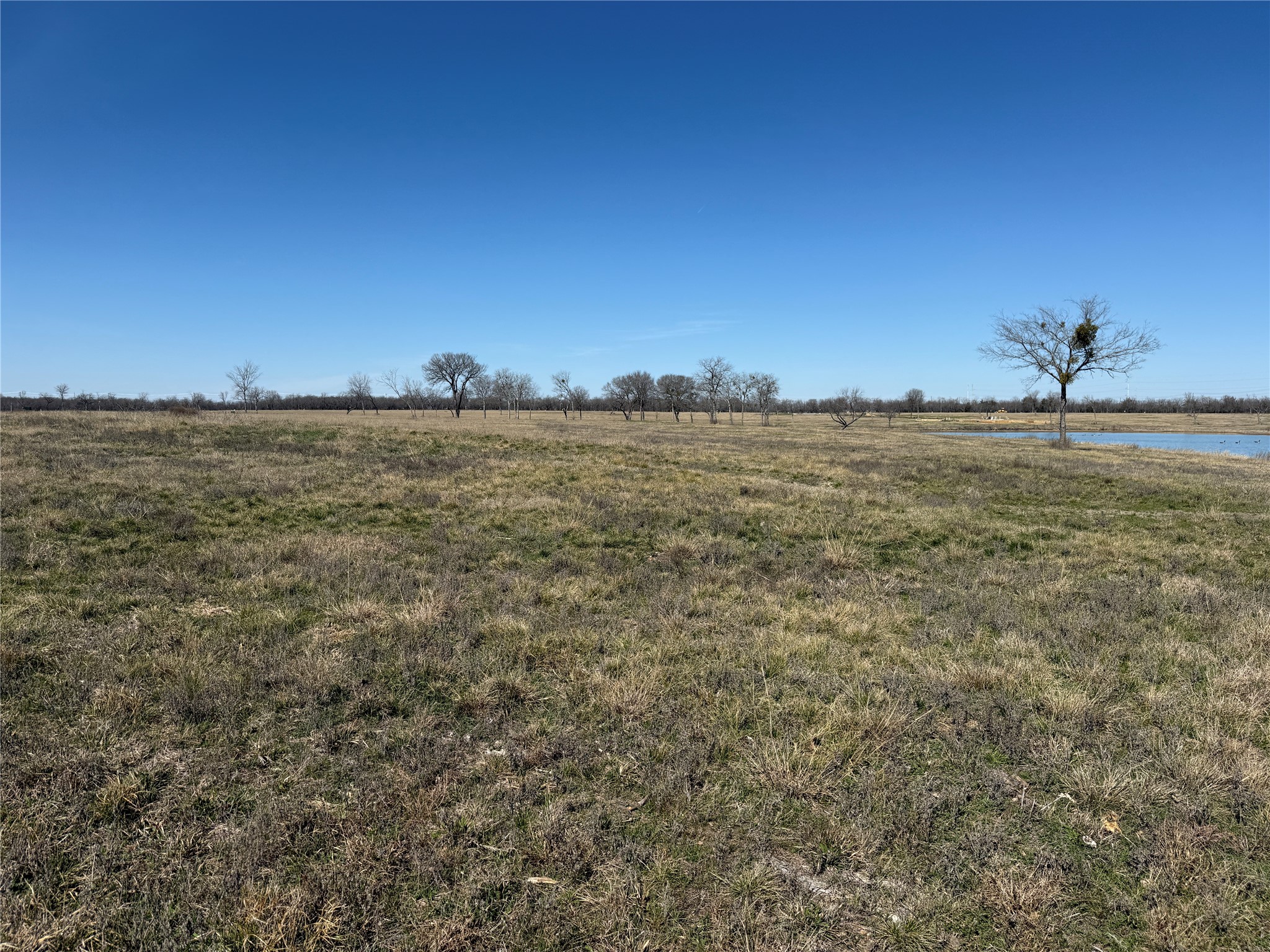 Lot 87 Bauer Boulevard