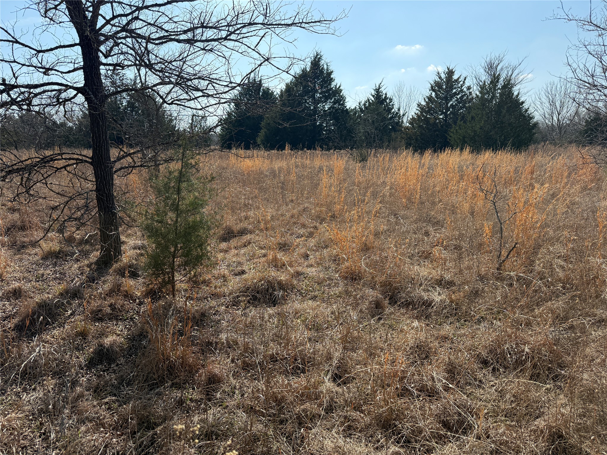 Lots 16 & 17 Block B