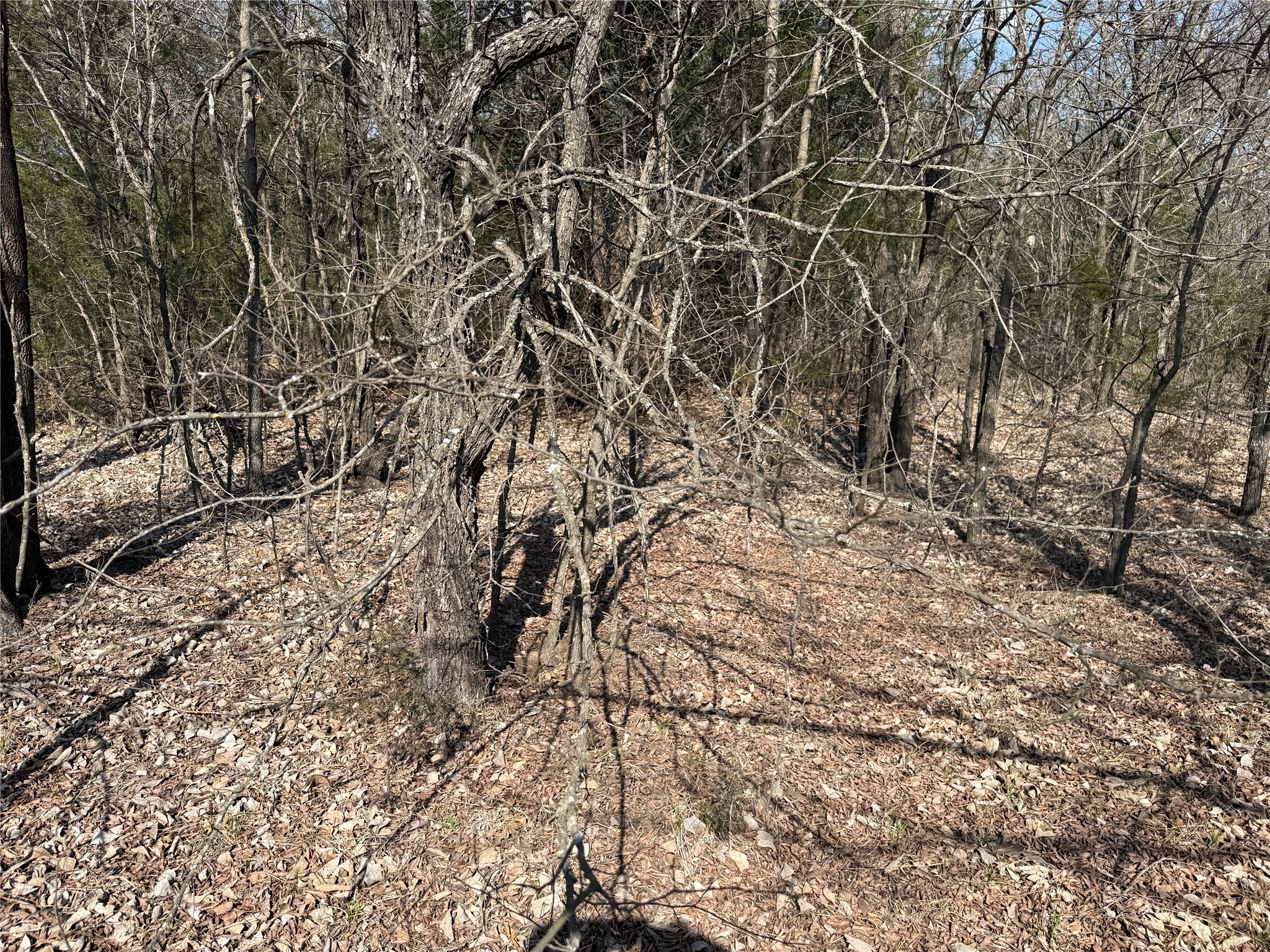 Lots 16 & 17 Block B