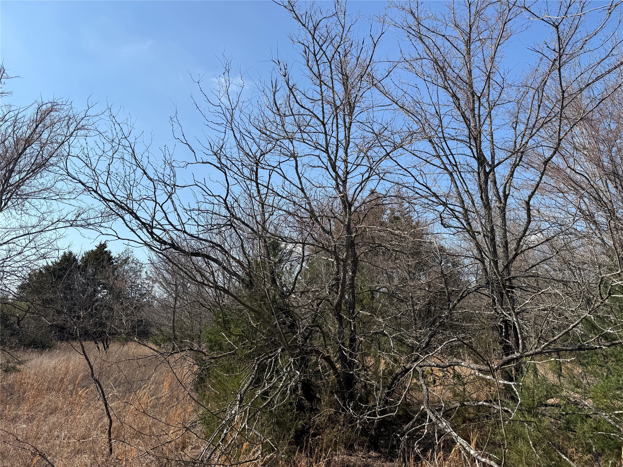 Lots 16 & 17 Block B