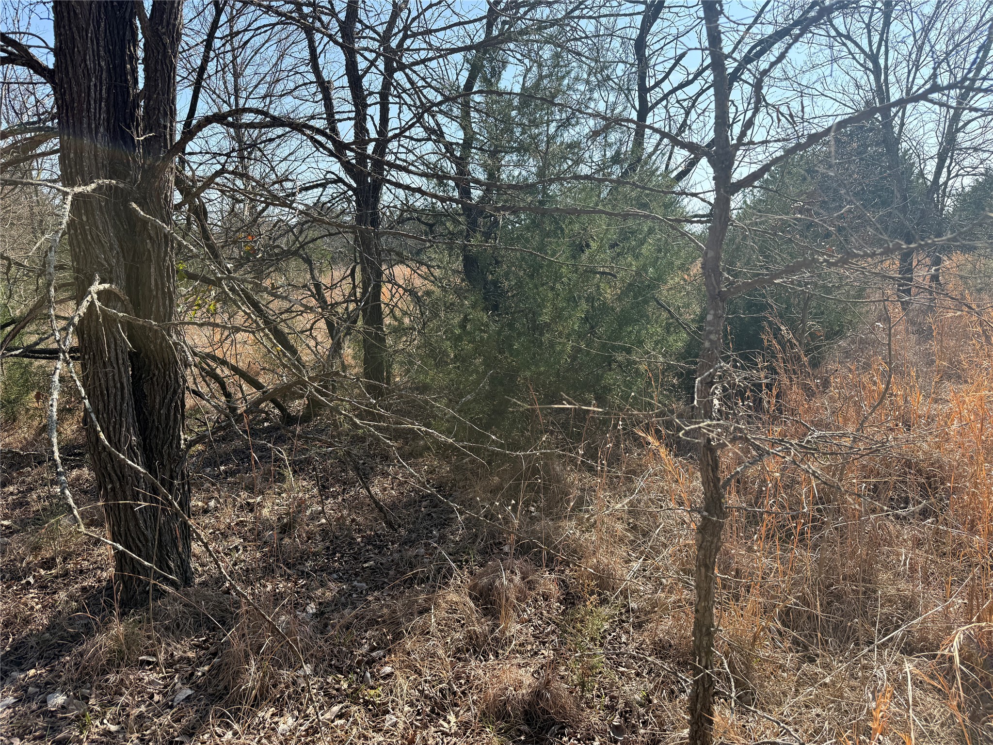 Lots 16 & 17 Block B