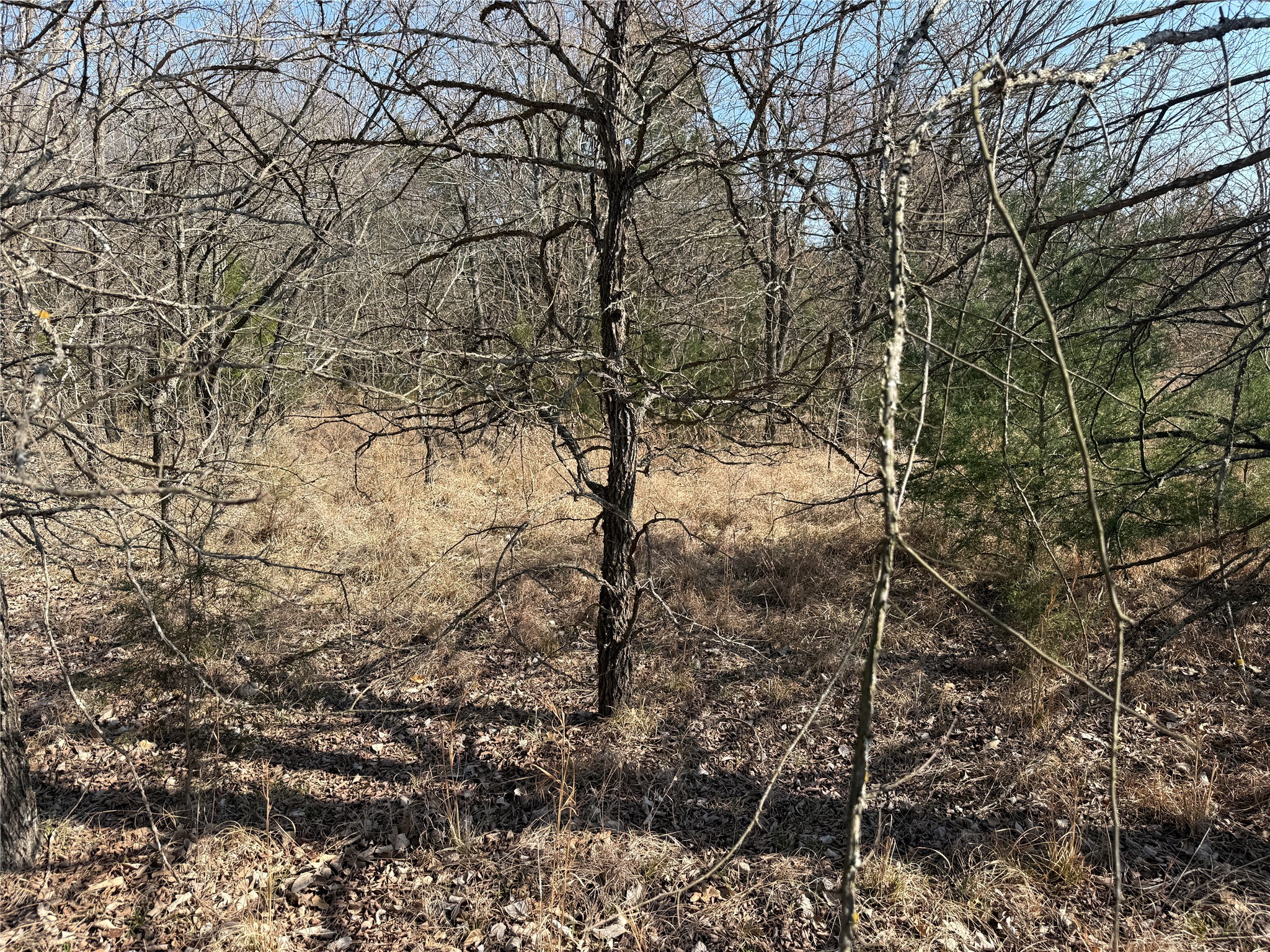 Lots 16 & 17 Block B