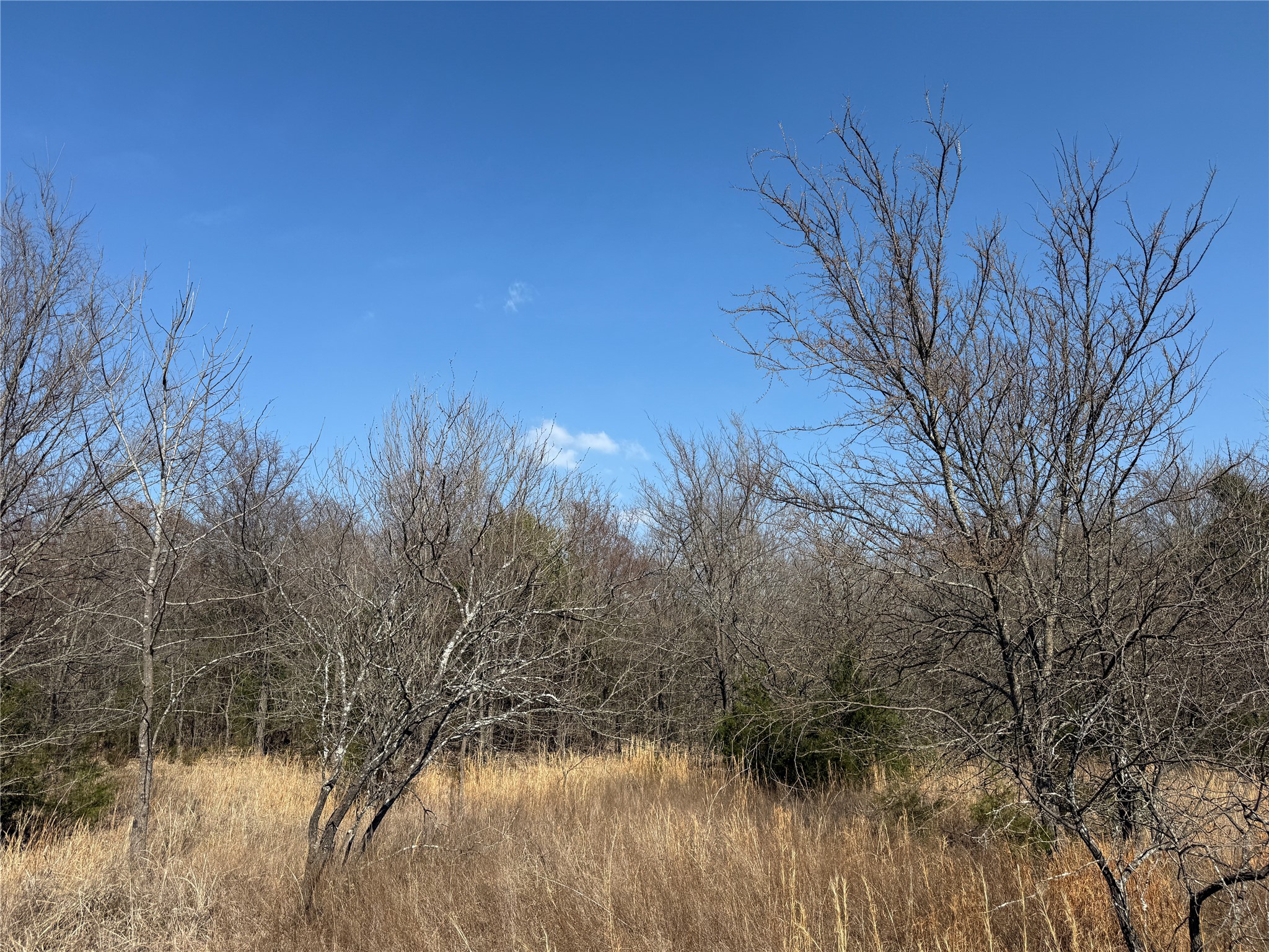 Lots 16 & 17 Block B