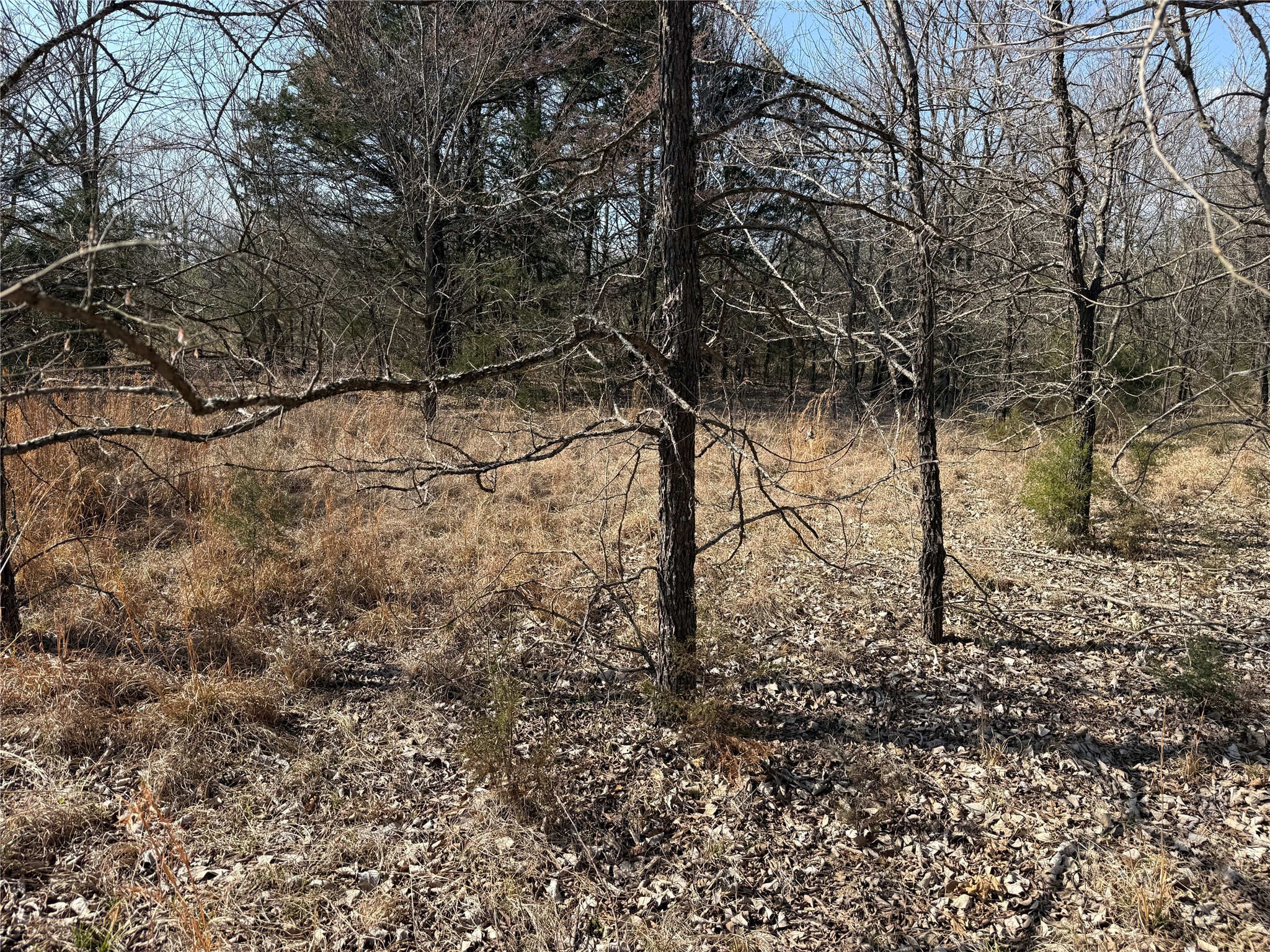 Lots 16 & 17 Block B