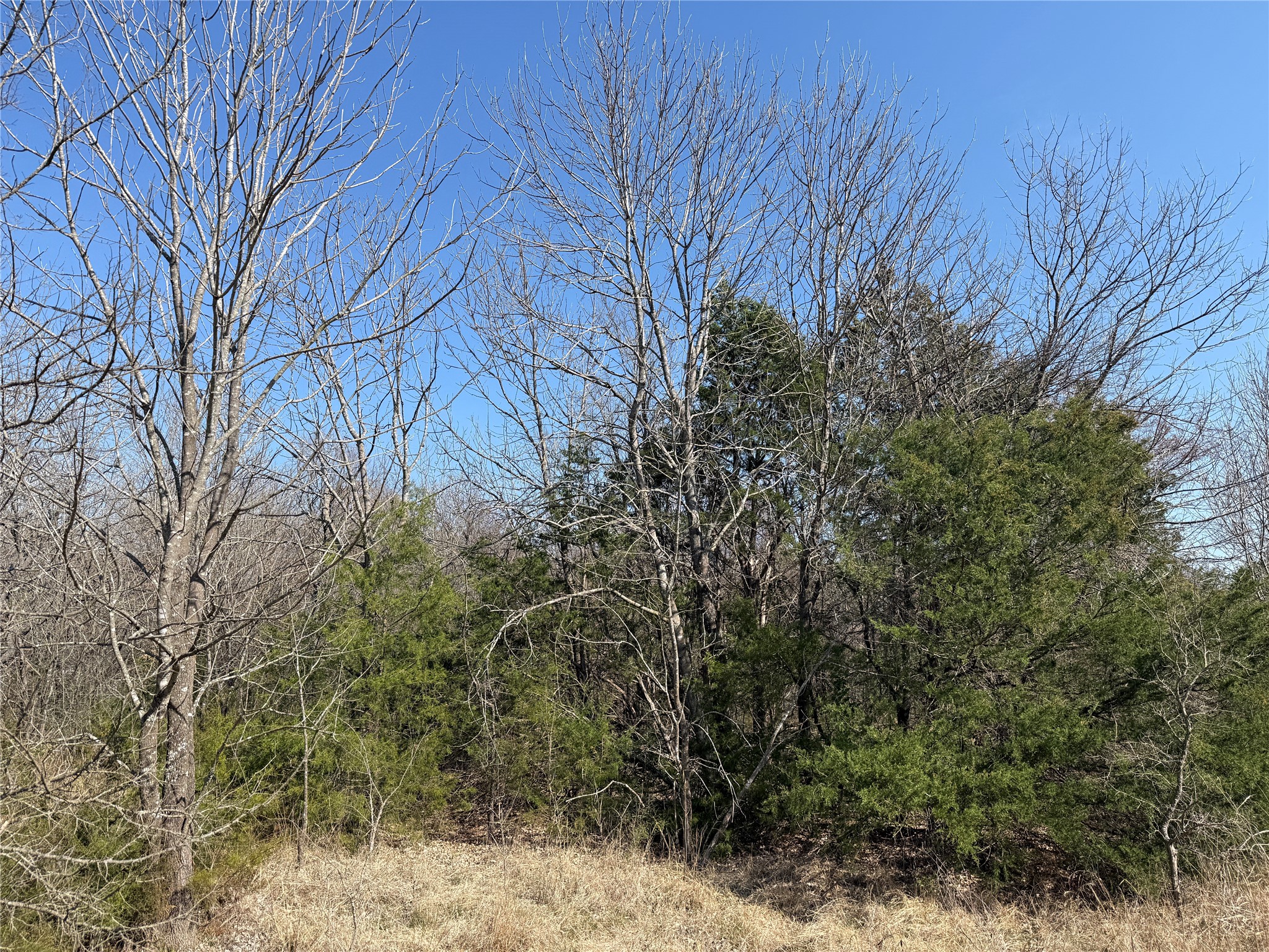 Lots 16 & 17 Block B