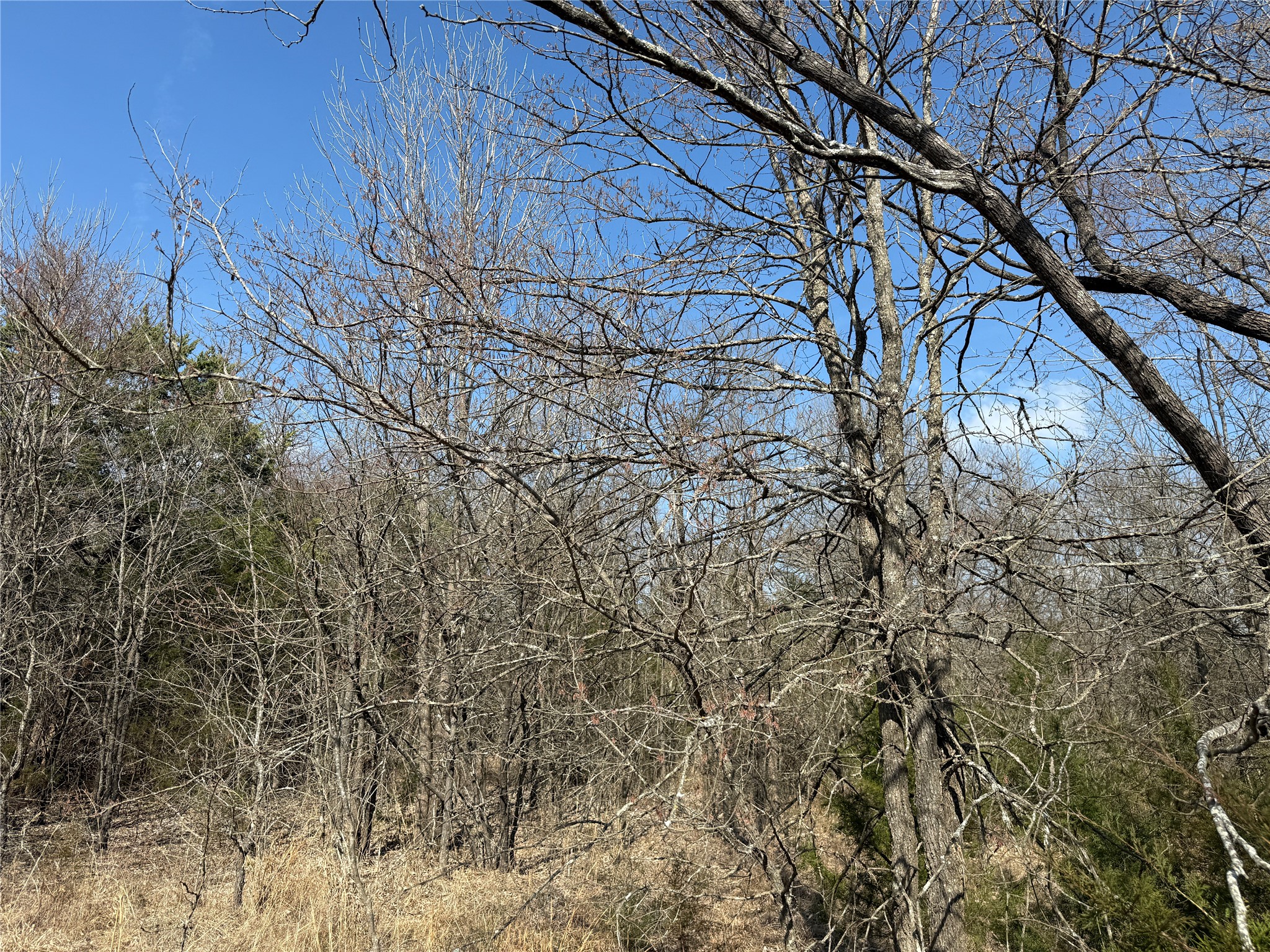 Lots 16 & 17 Block B