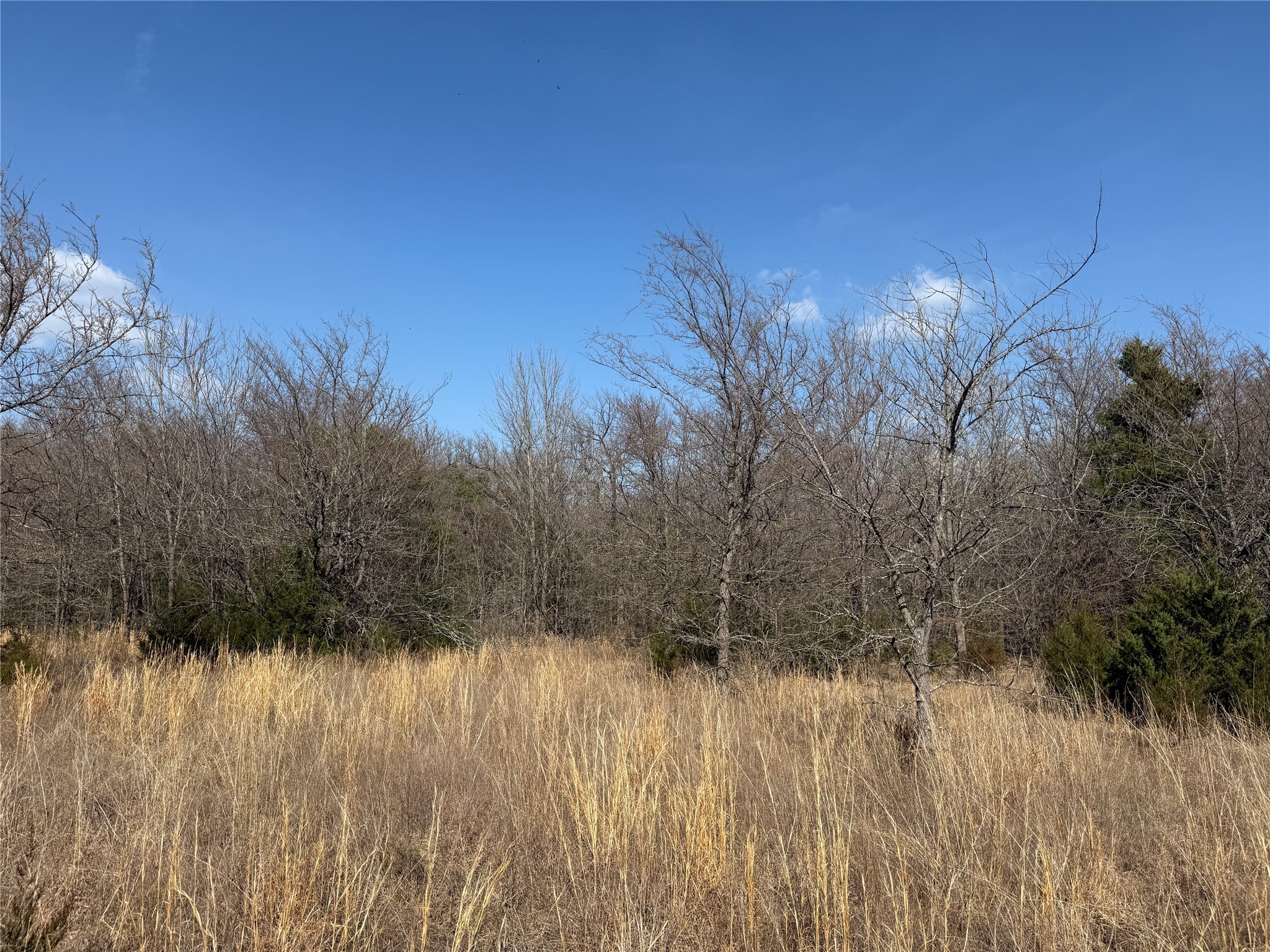 Lots 16 & 17 Block B