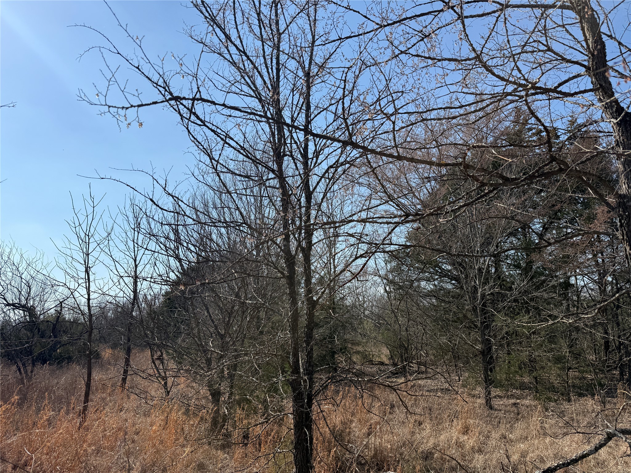 Lots 16 & 17 Block B