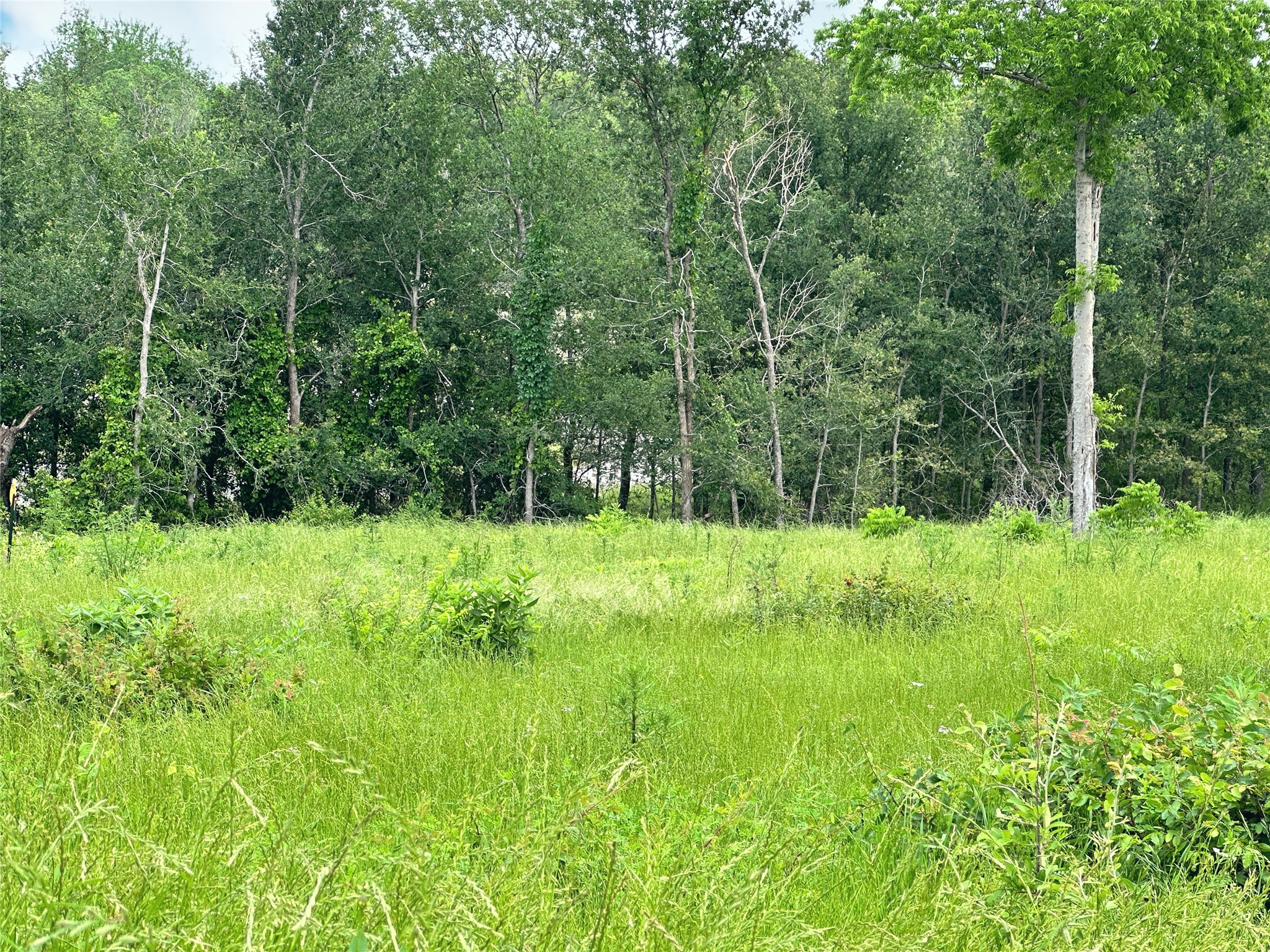 Lot 81 & SLP#17 Shoreside Drive