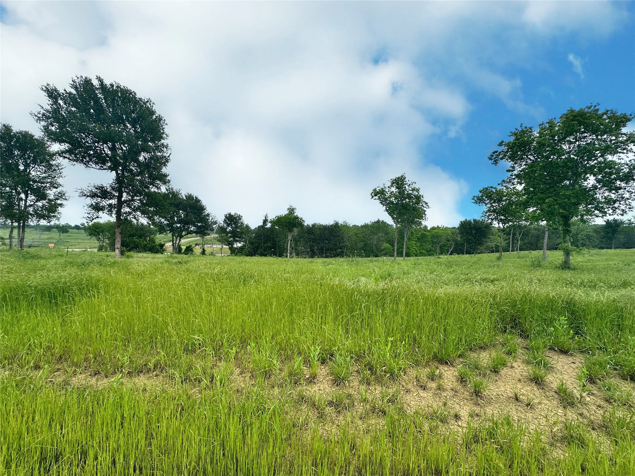 Lot 81 & SLP#17 Shoreside Drive