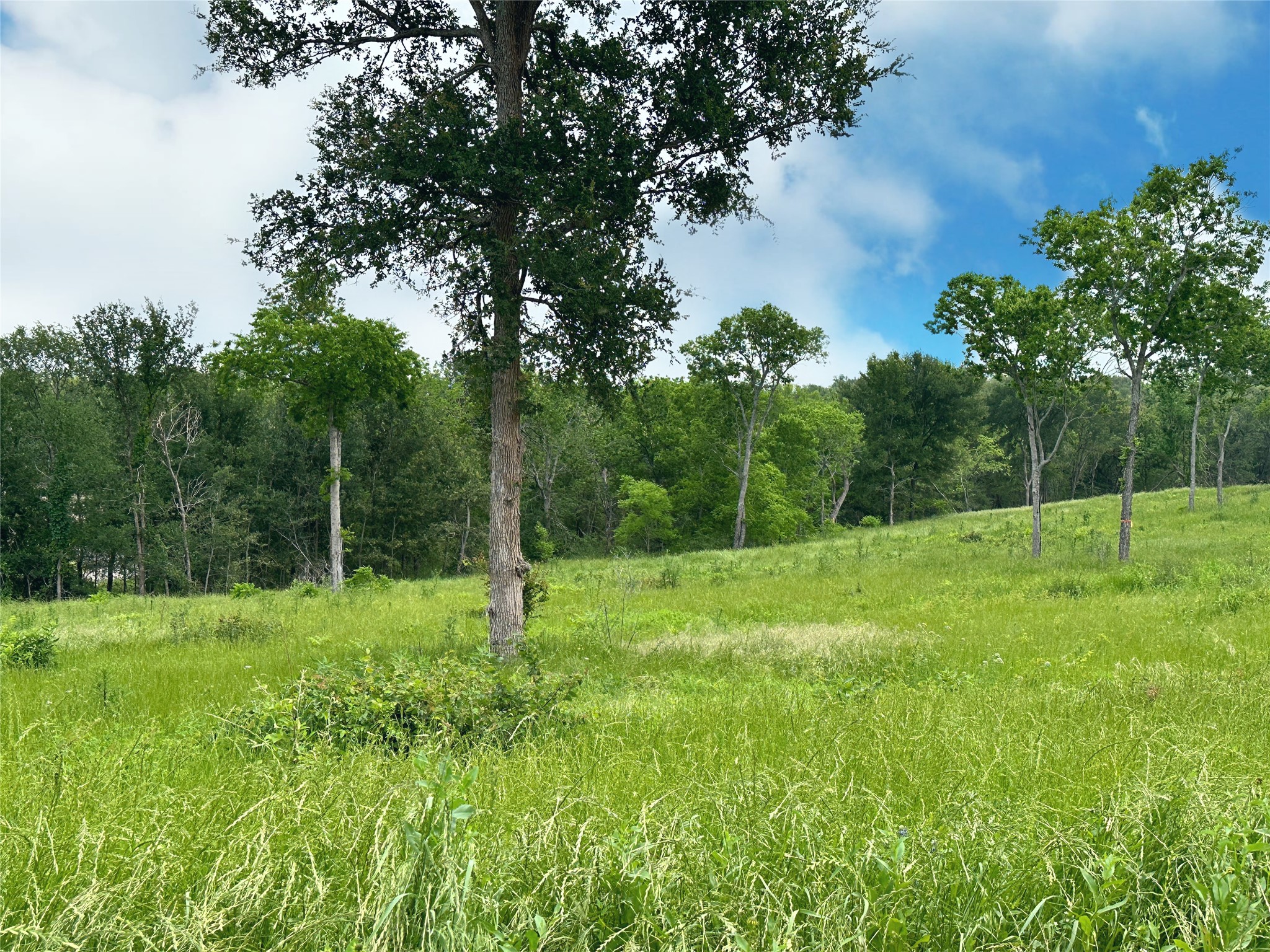 Lot 81 & SLP#17 Shoreside Drive