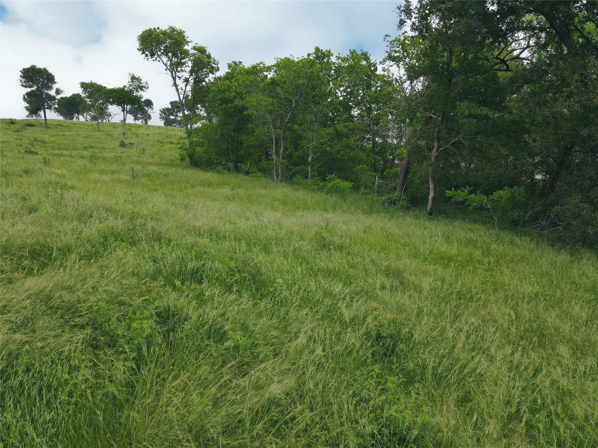 Lot 81 & SLP#17 Shoreside Drive