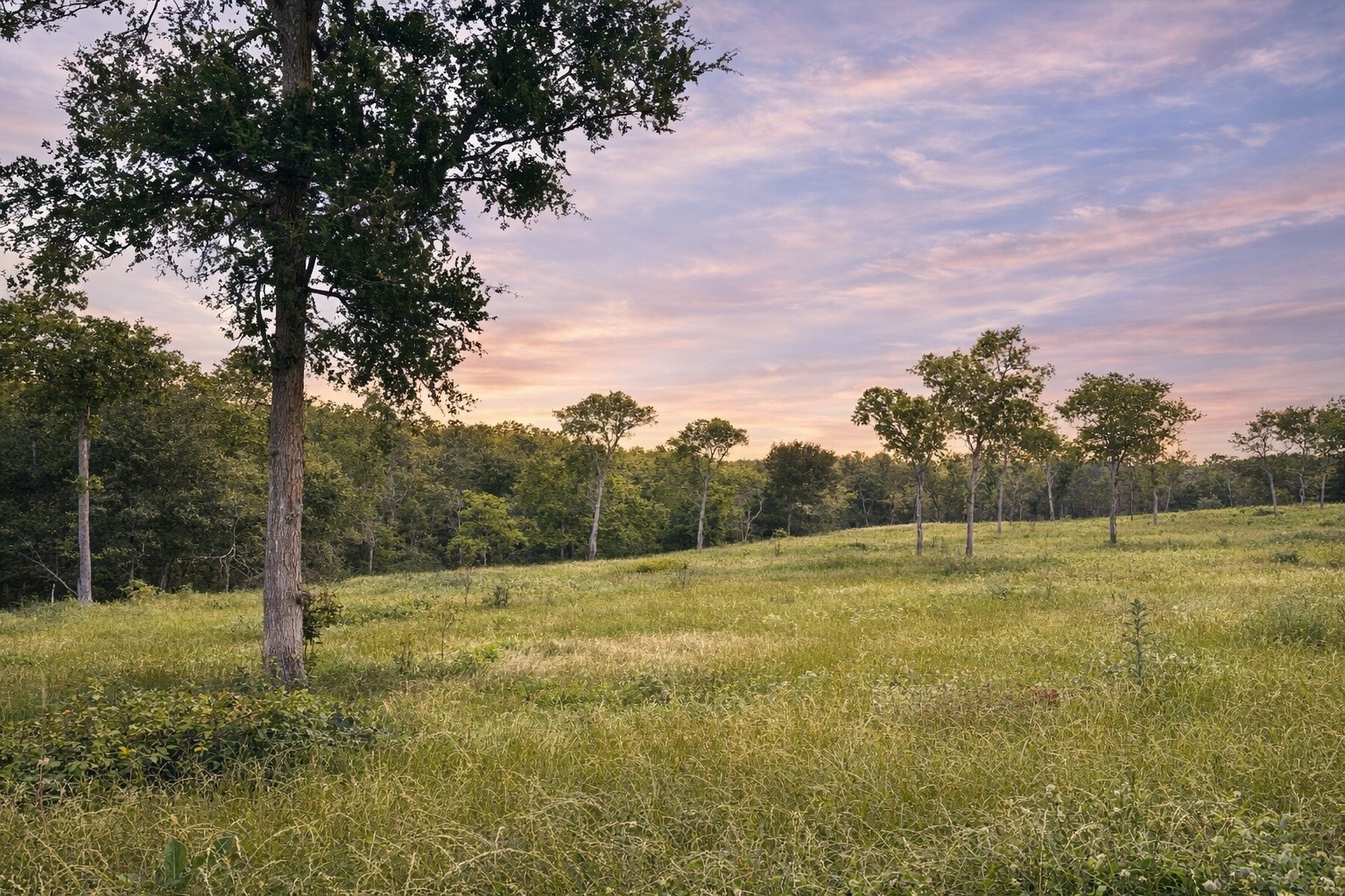 Lot 81 & SLP#17 Shoreside Drive