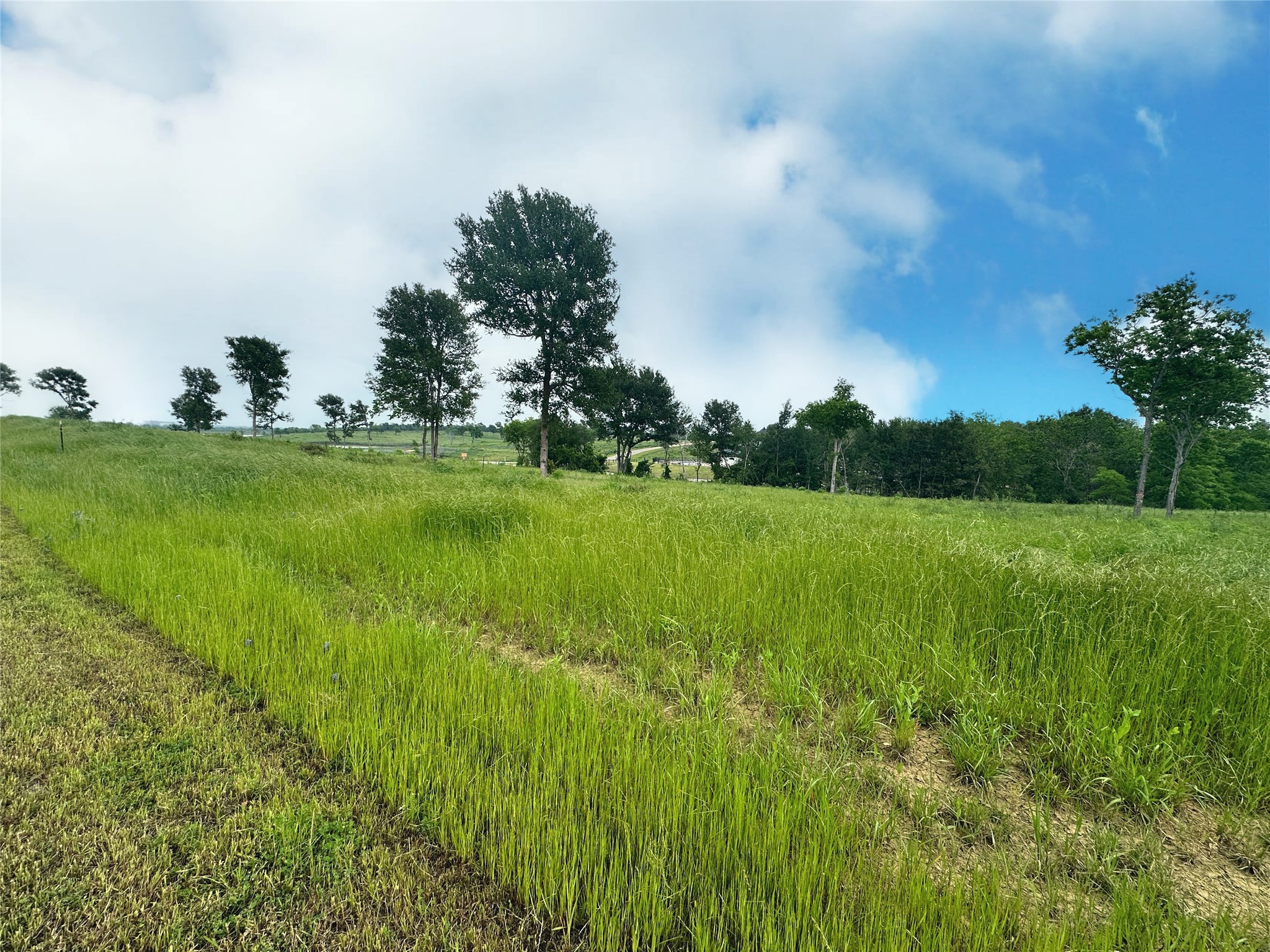 Lot 81 & SLP#17 Shoreside Drive