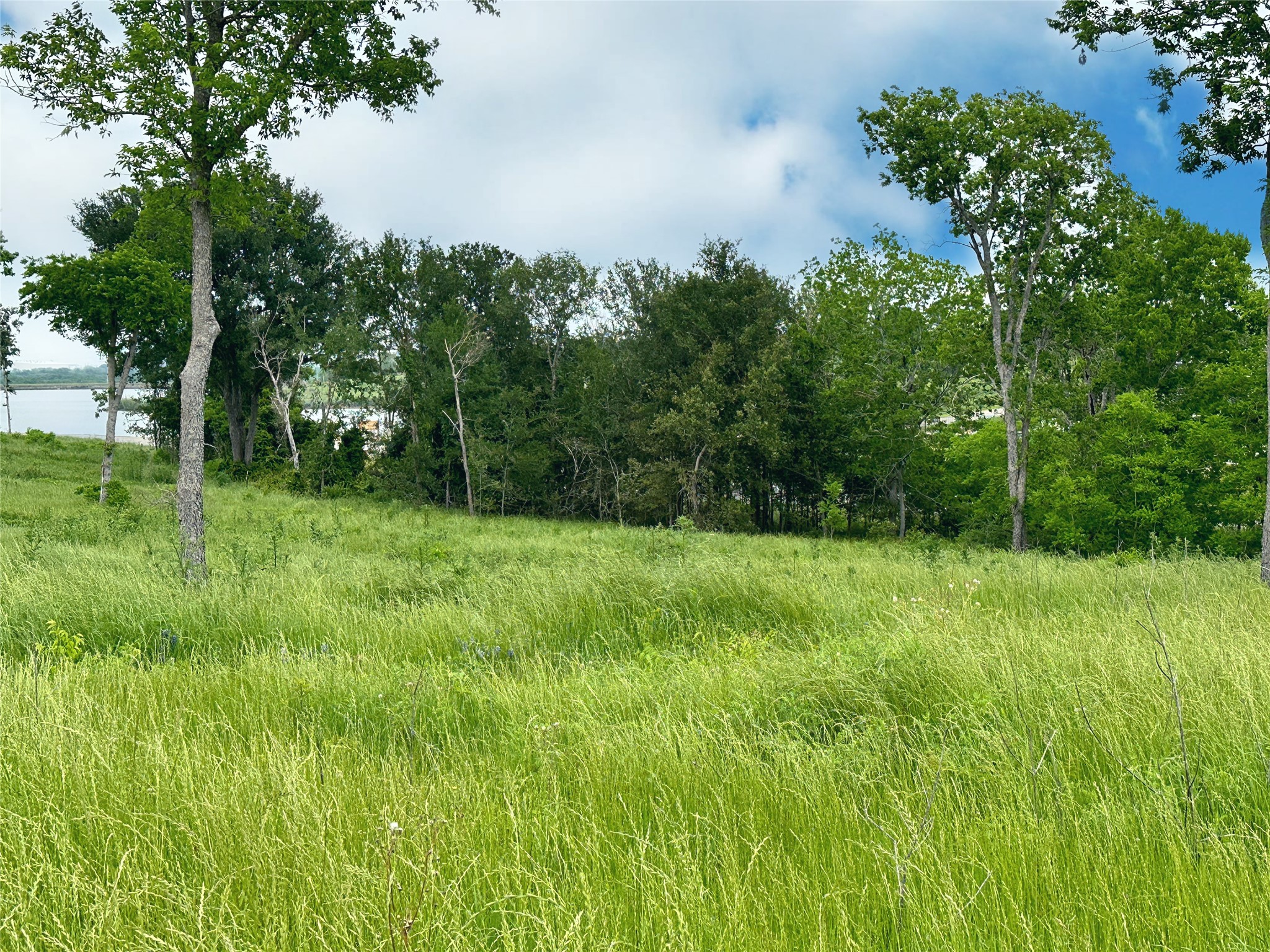 Lot 81 & SLP#17 Shoreside Drive