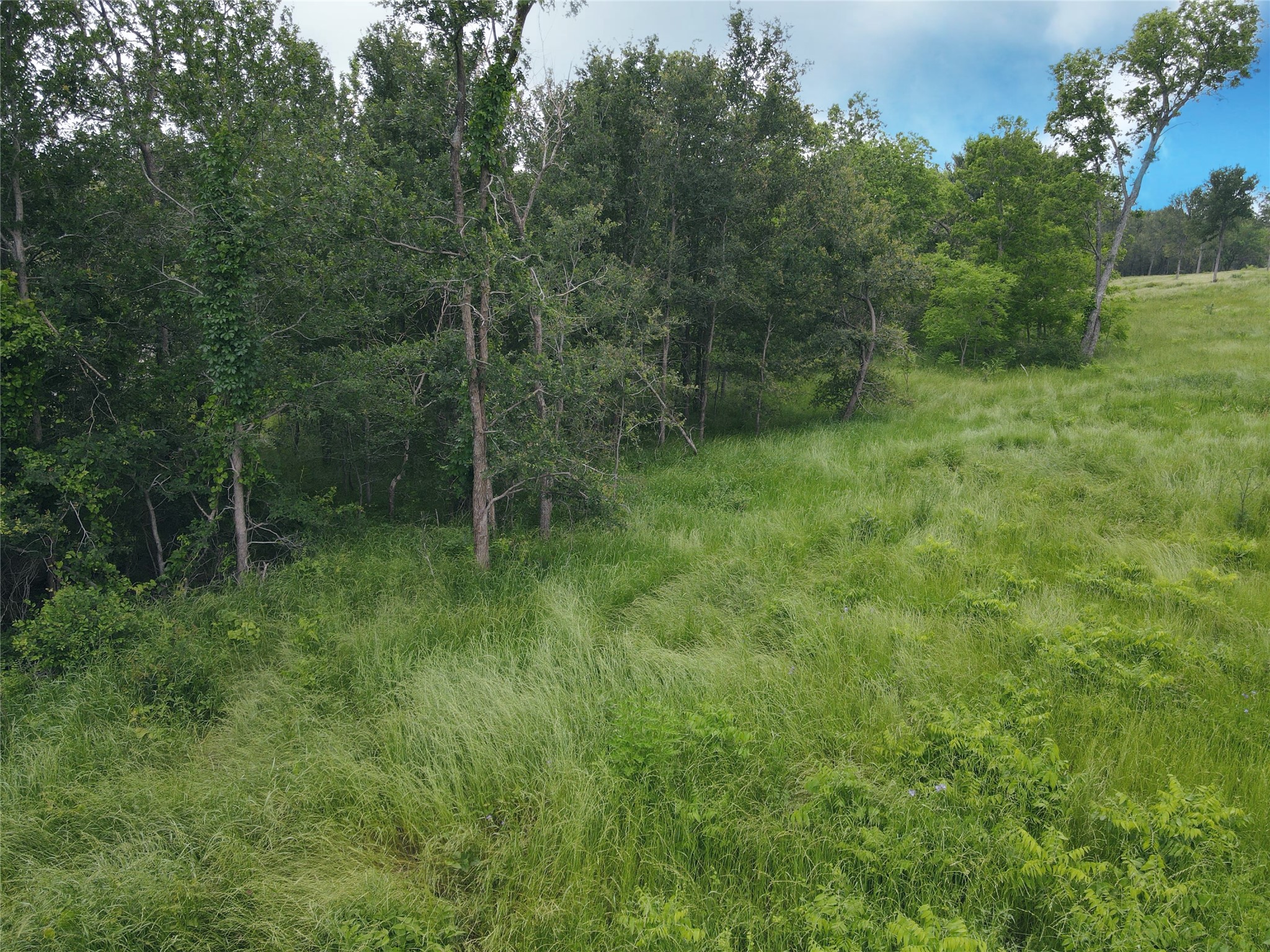 Lot 81 & SLP#17 Shoreside Drive