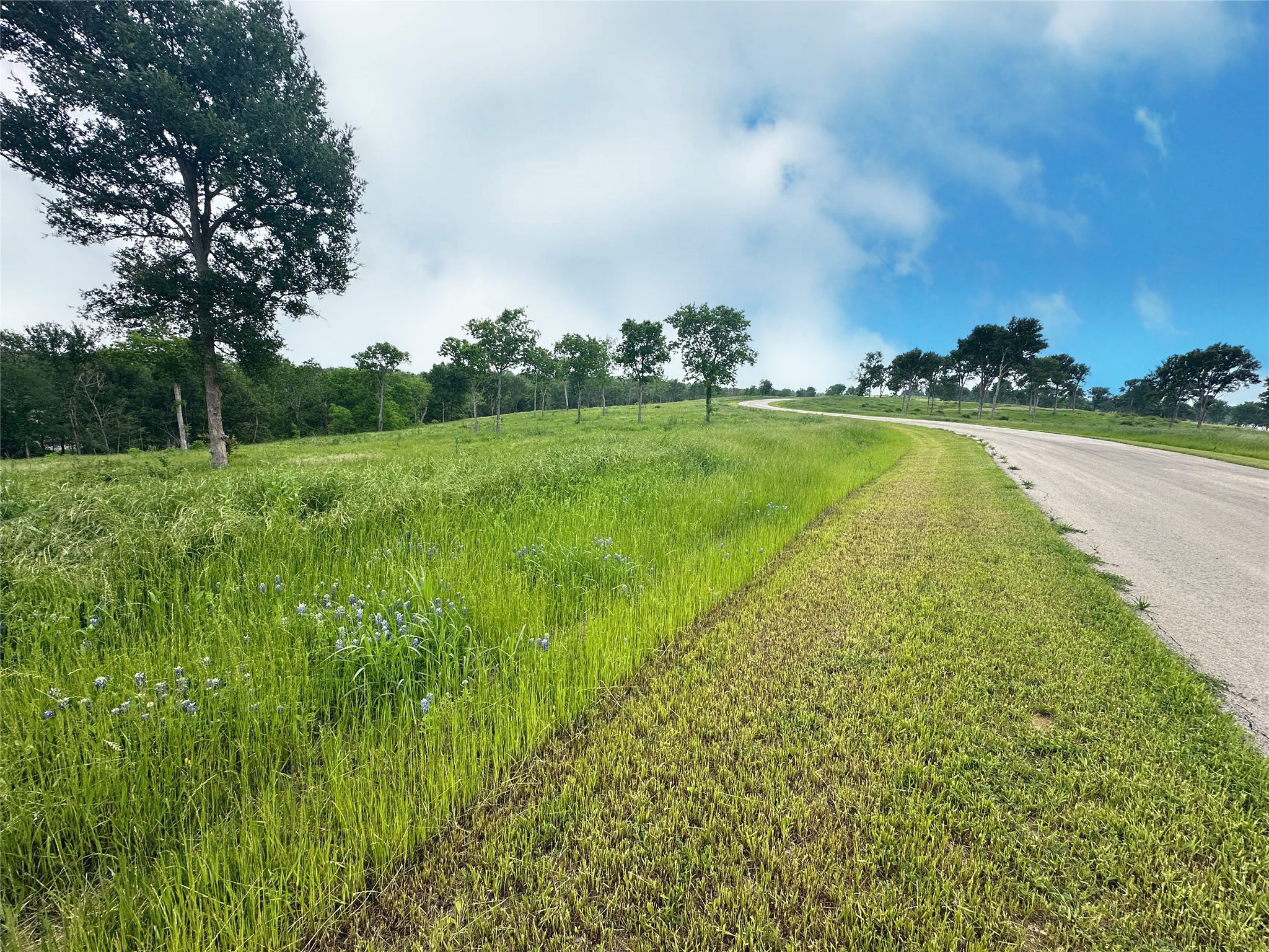 Lot 81 & SLP#17 Shoreside Drive