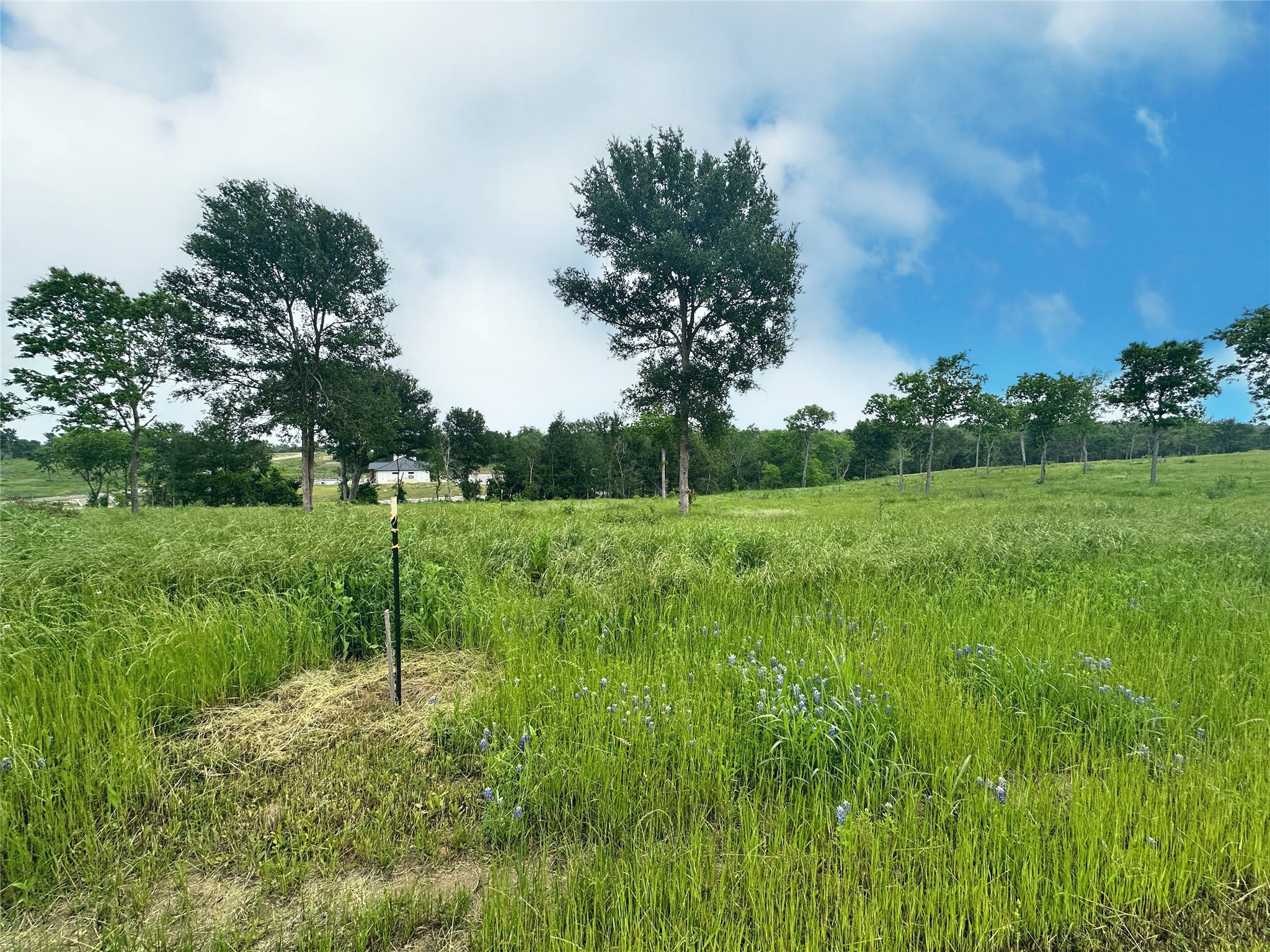 Lot 81 & SLP#17 Shoreside Drive