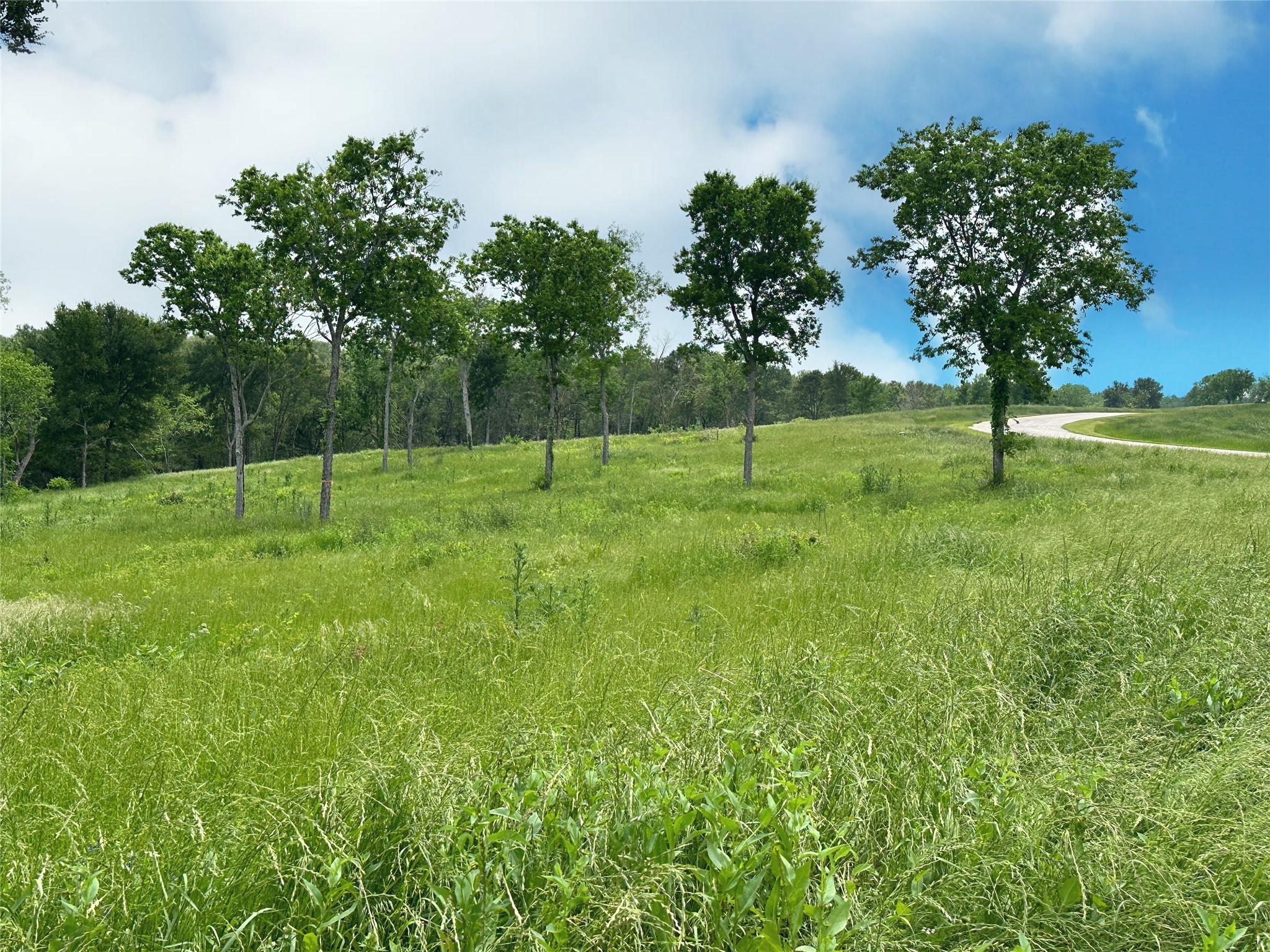 Lot 81 & SLP#17 Shoreside Drive