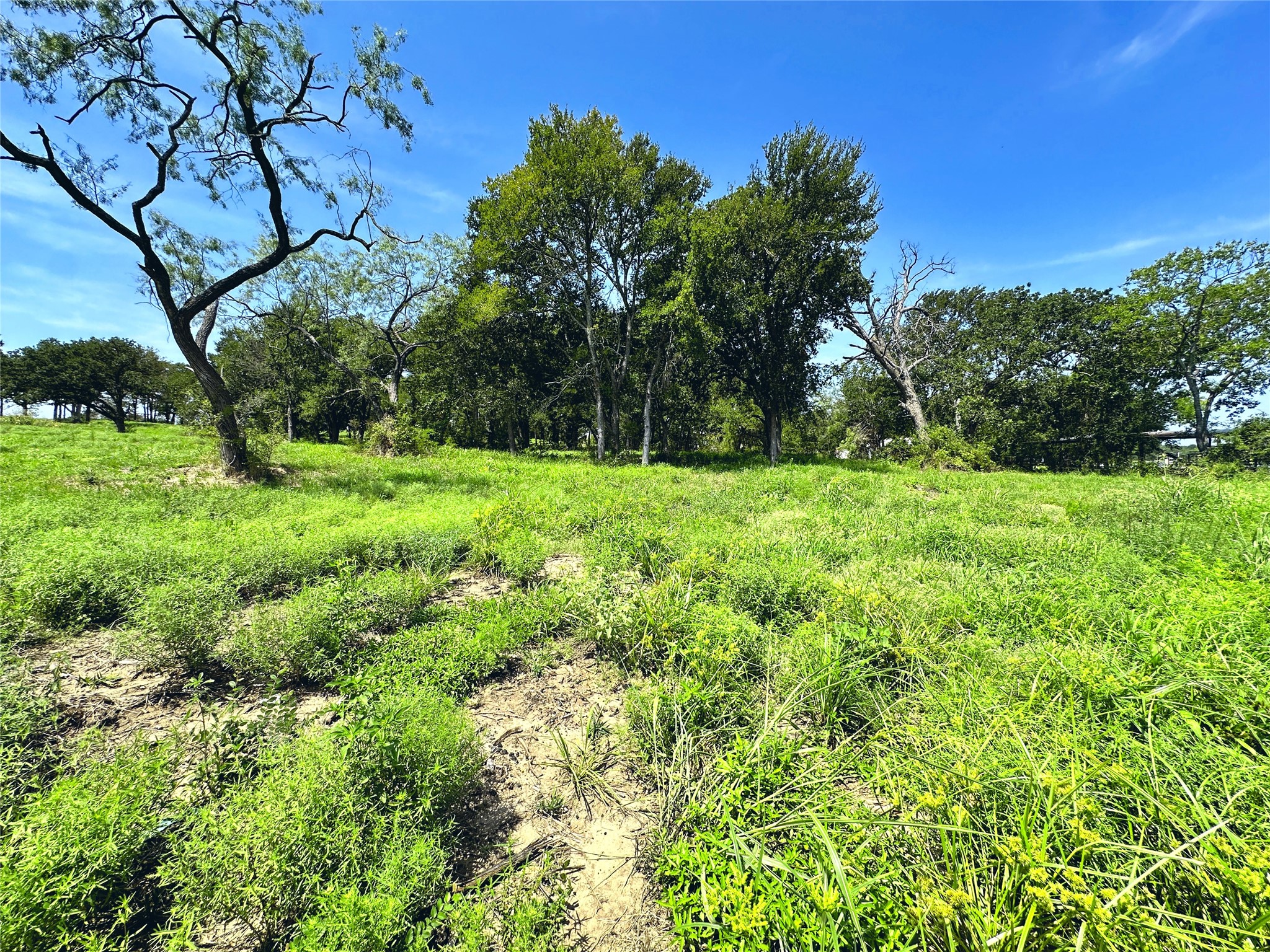 Lot 6 Carmel Valley