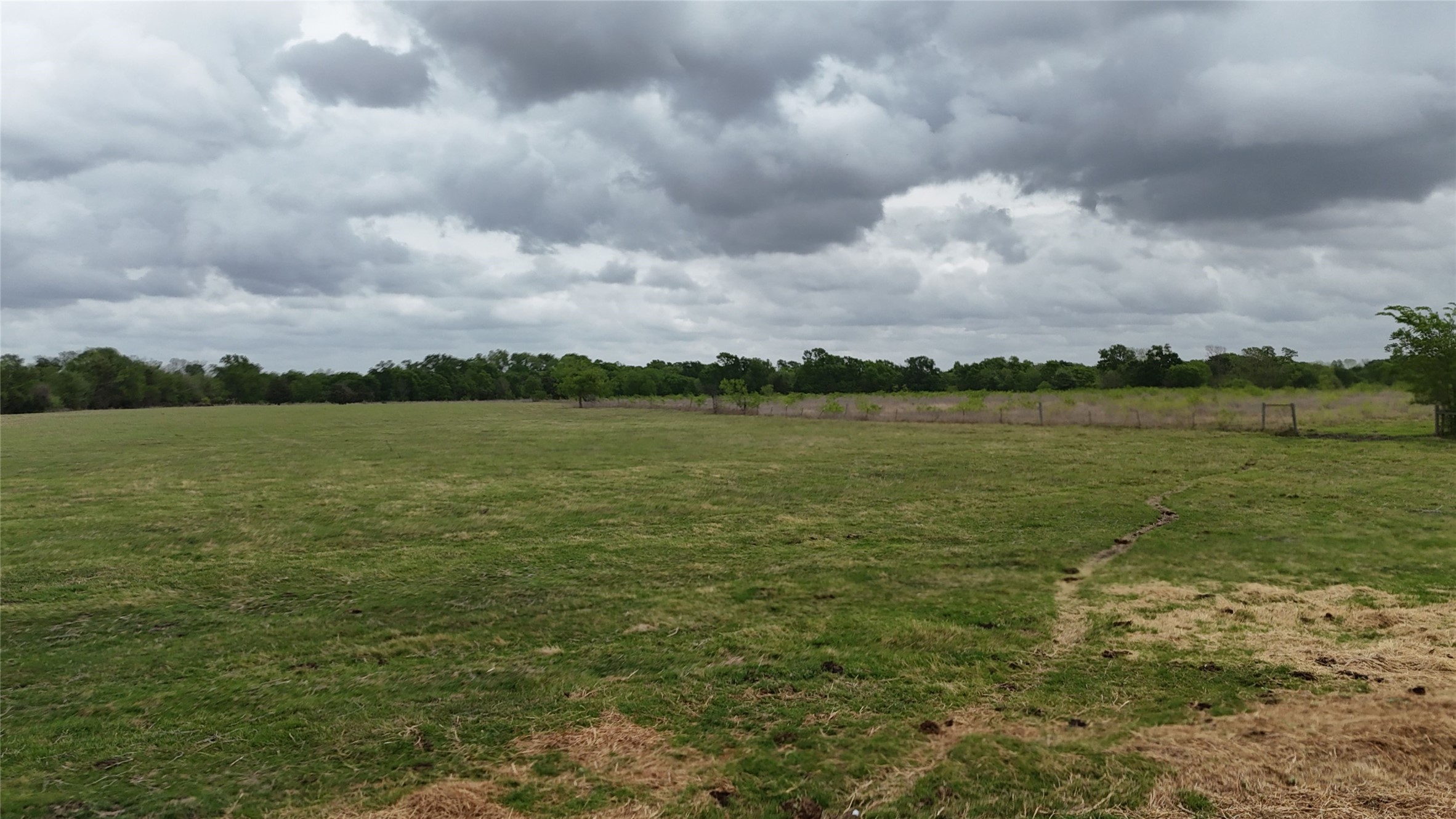 TBD +/- 13 Acres SE County Road 0160