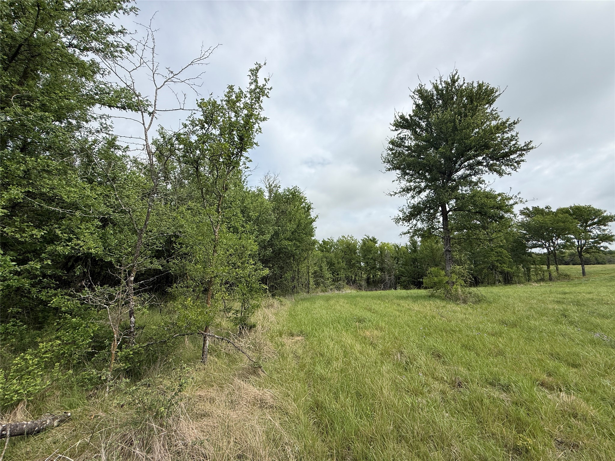 Lot 63 Sunset Court