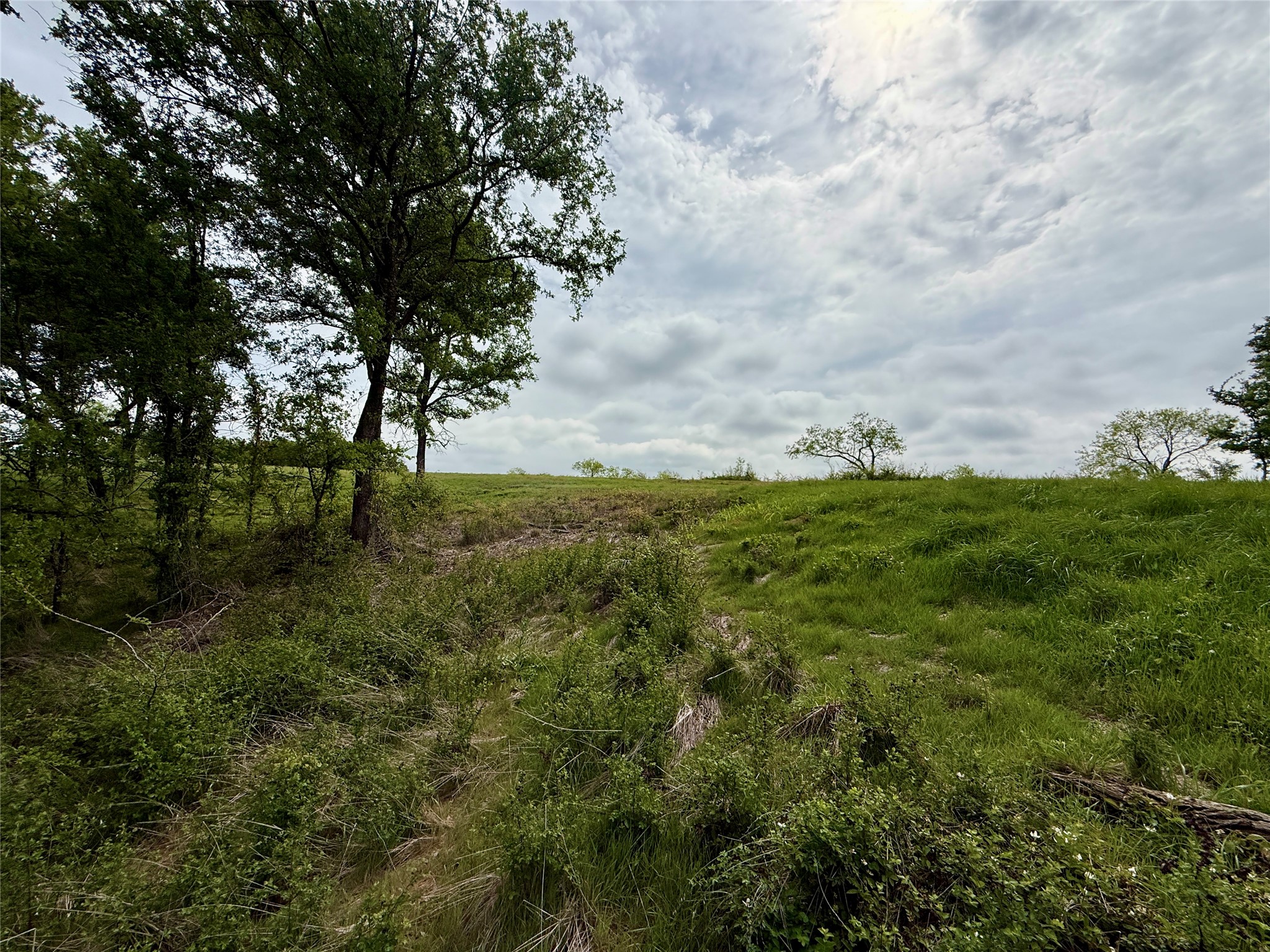 Lot 63 Sunset Court