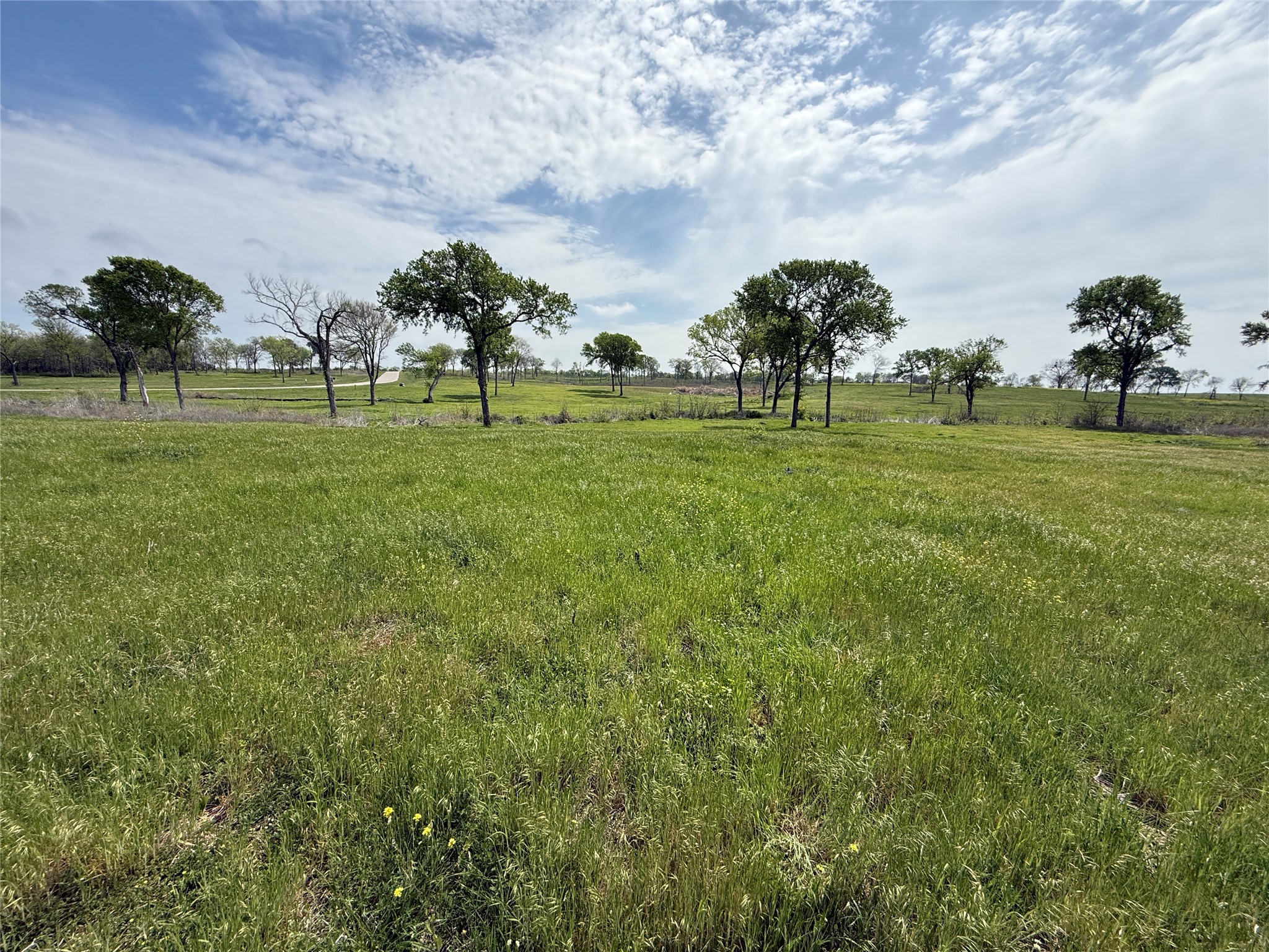 Lot 47 Bridgewater Boulevard