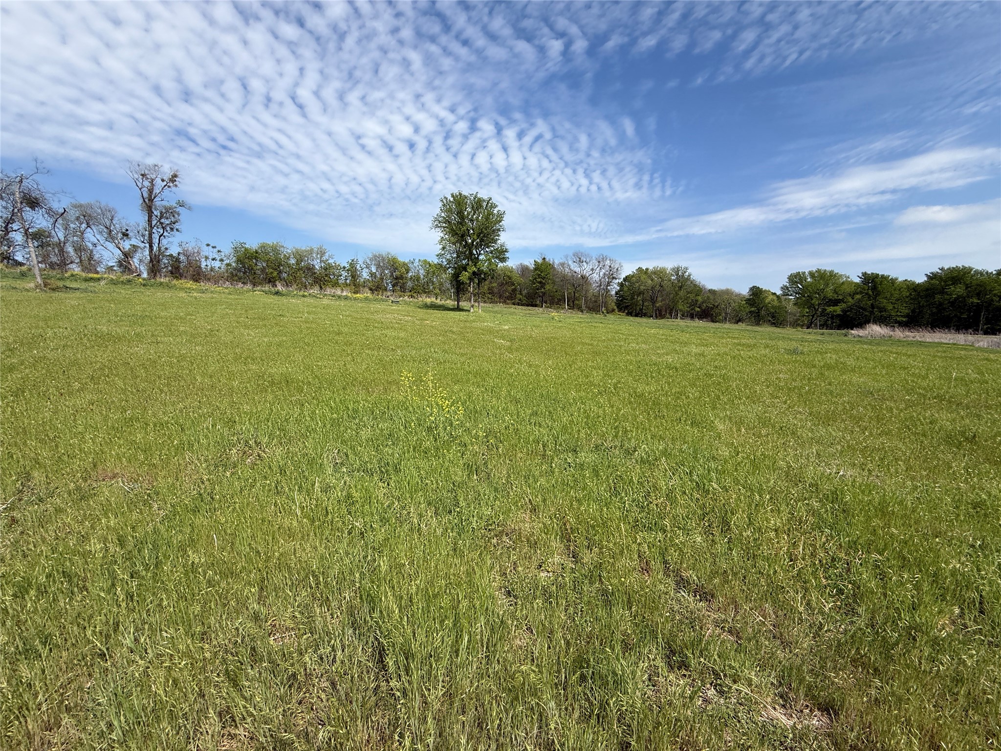 Lot 47 Bridgewater Boulevard