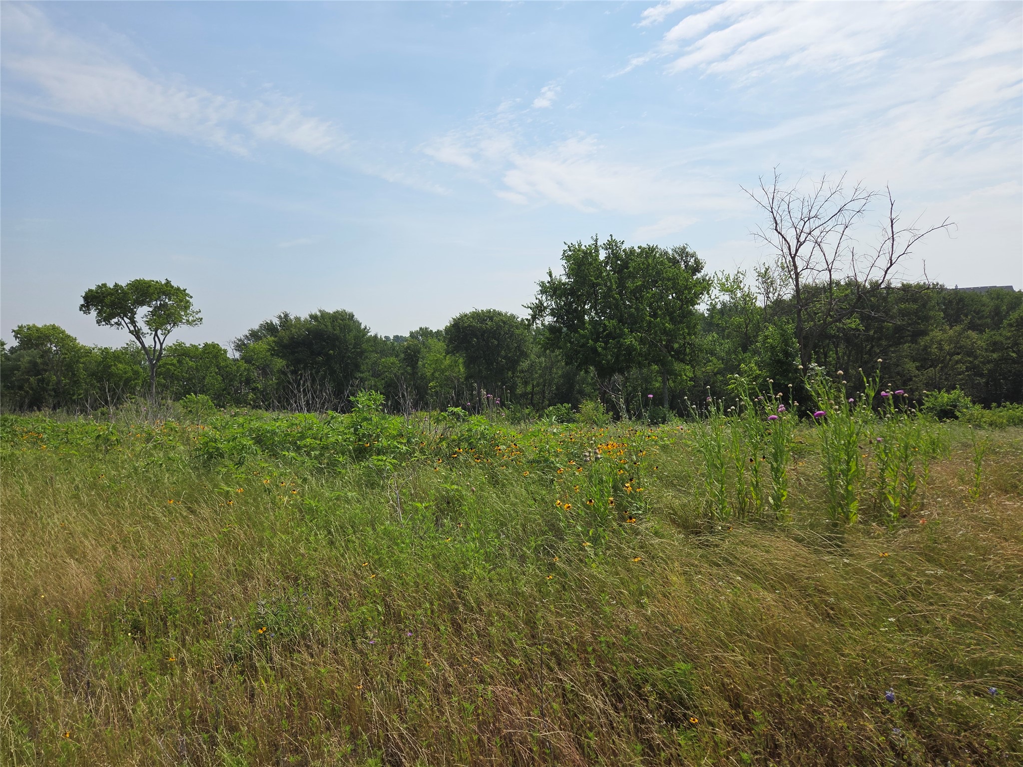 Lot 80 & BL # 16 ShoreSide Drive