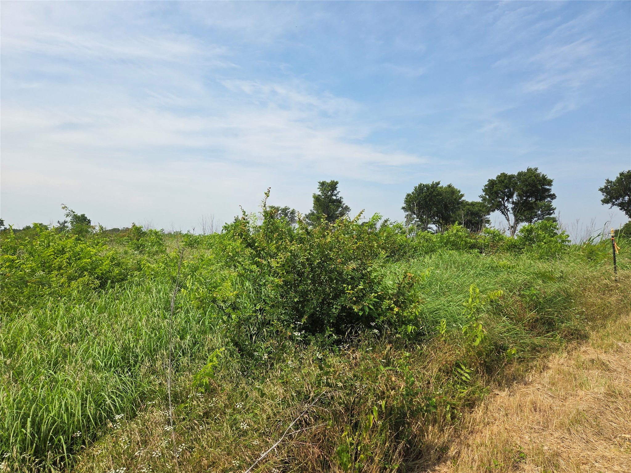 Lot 80 & BL # 16 ShoreSide Drive