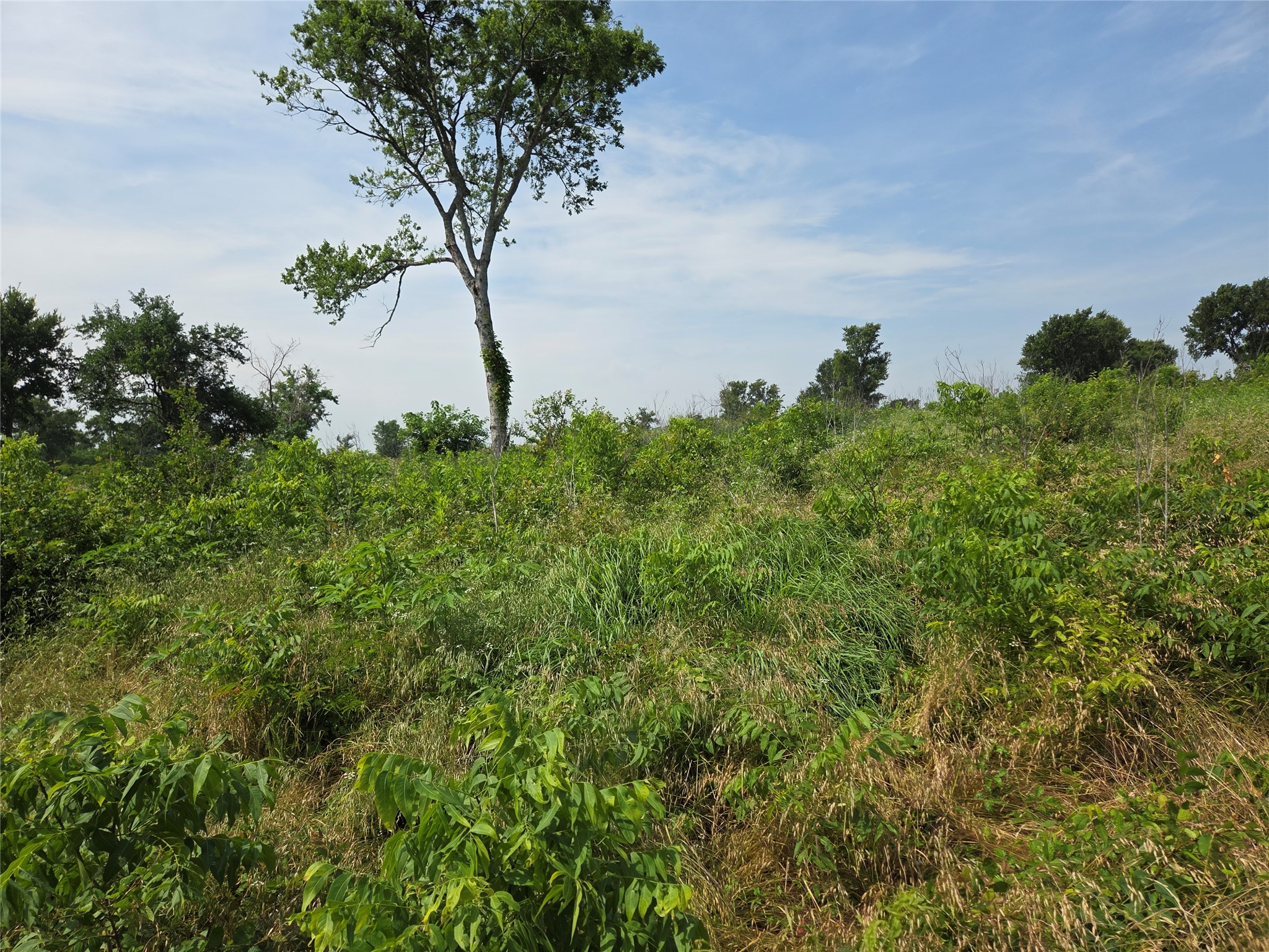 Lot 80 & BL # 16 ShoreSide Drive