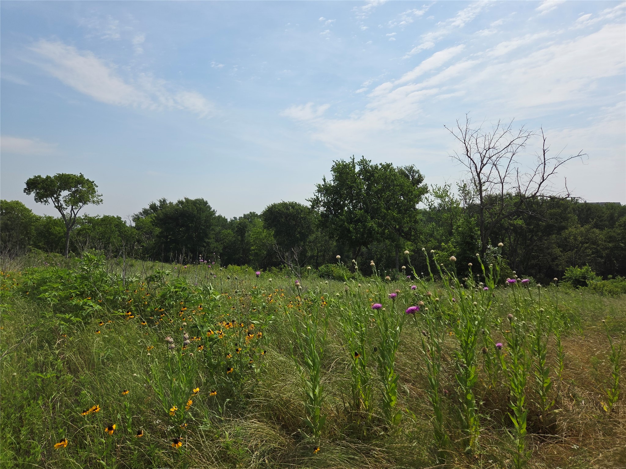 Lot 80 & BL # 16 ShoreSide Drive