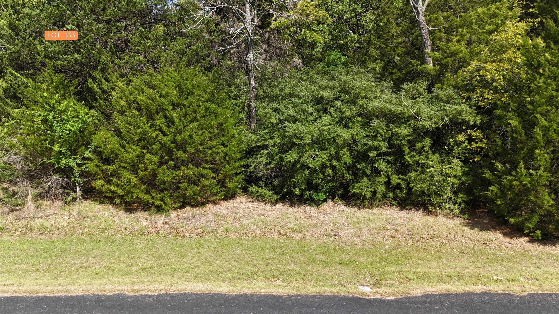 Lot 133 Lincoln Drive