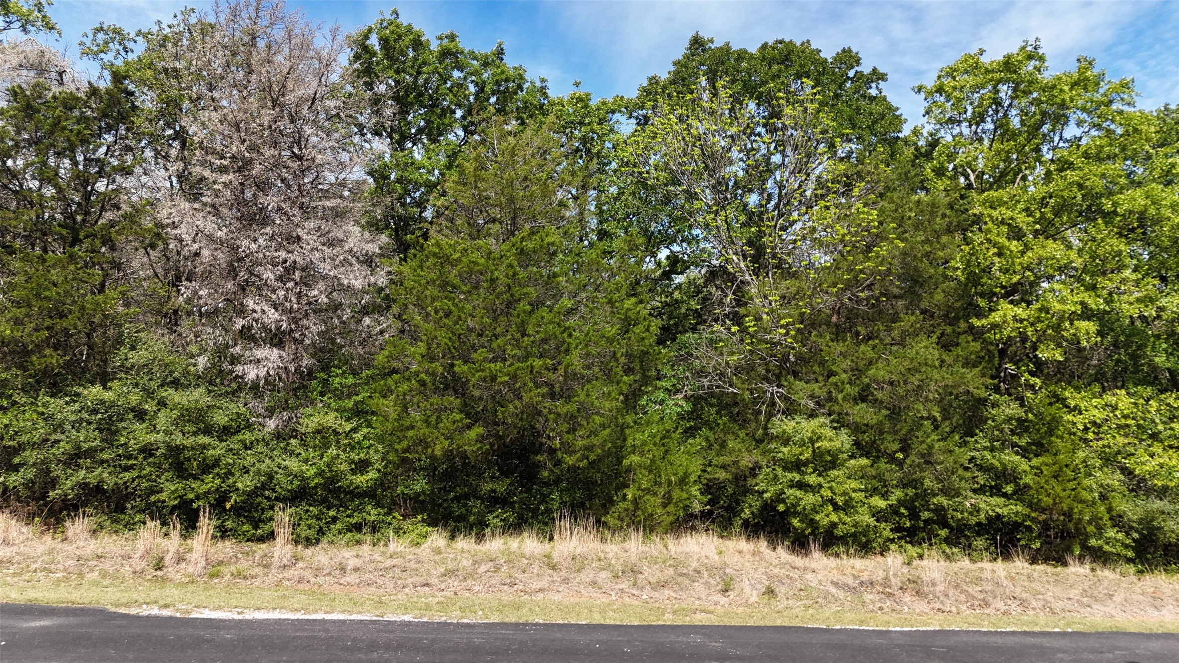 Lot 133 Lincoln Drive
