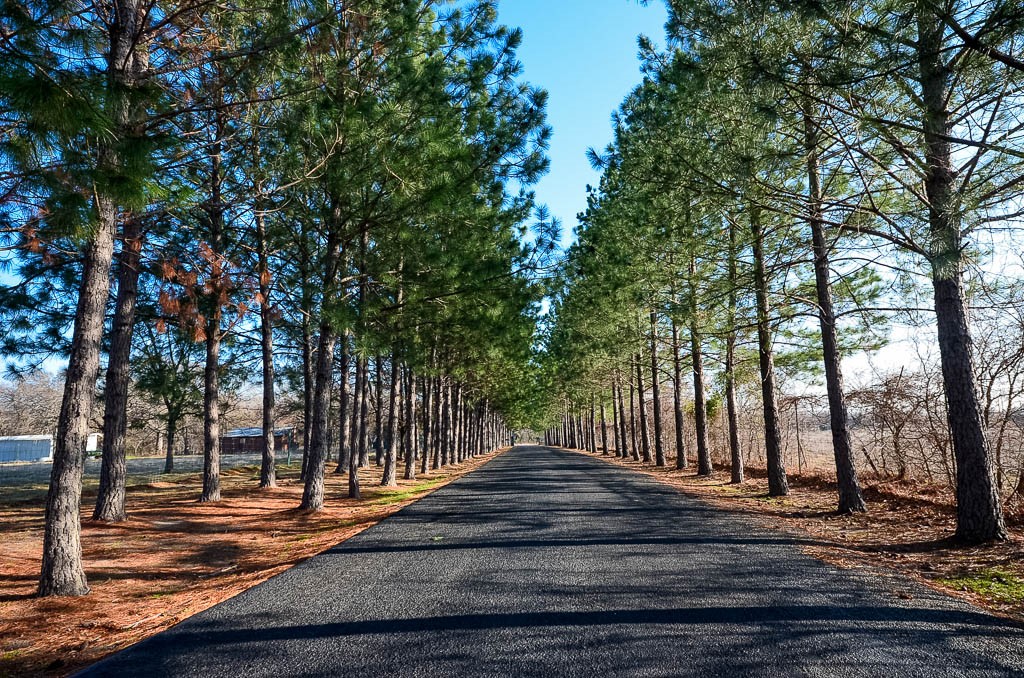 Lot 132 Lincoln Drive