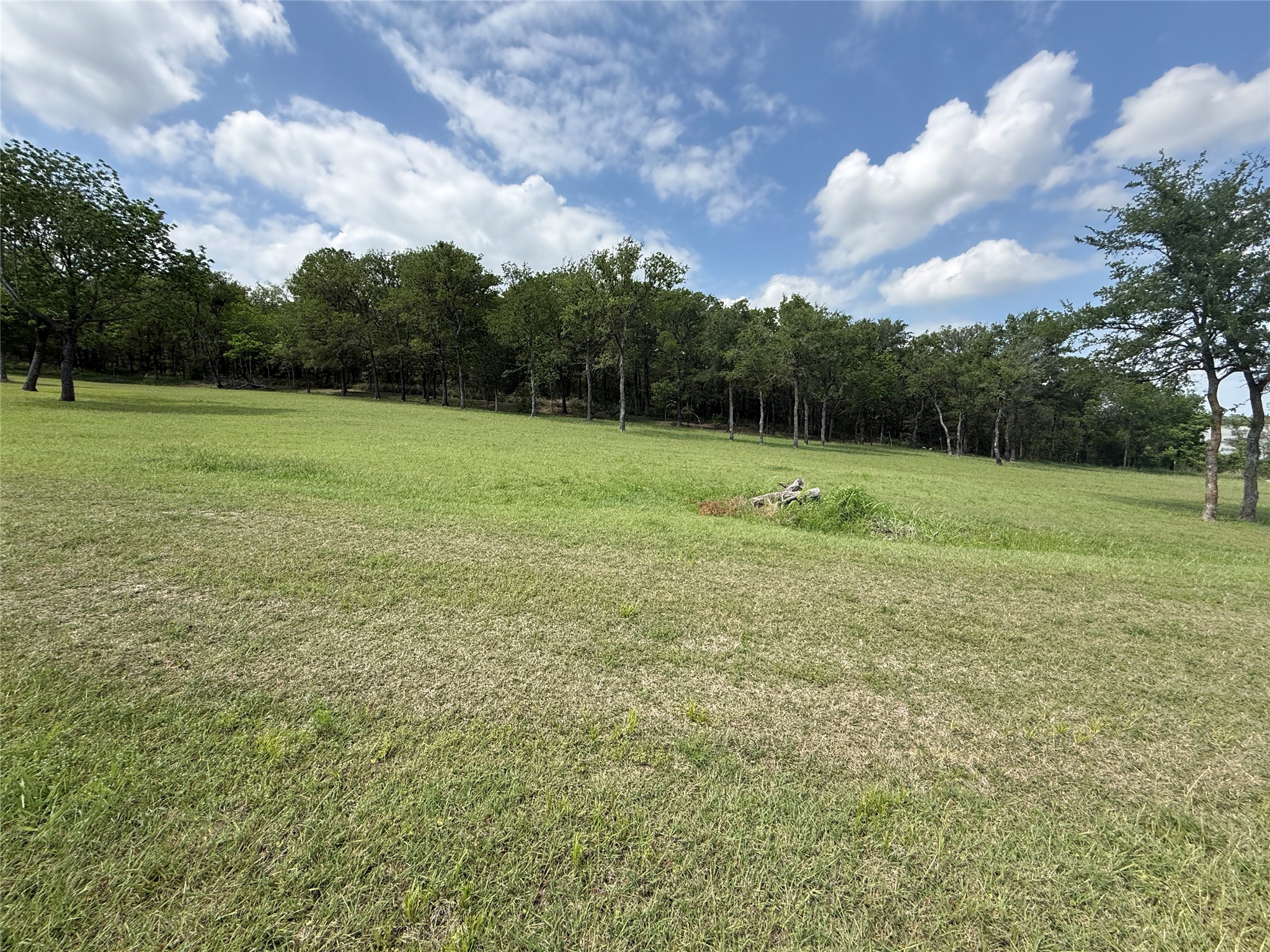 401 Meandering Way
