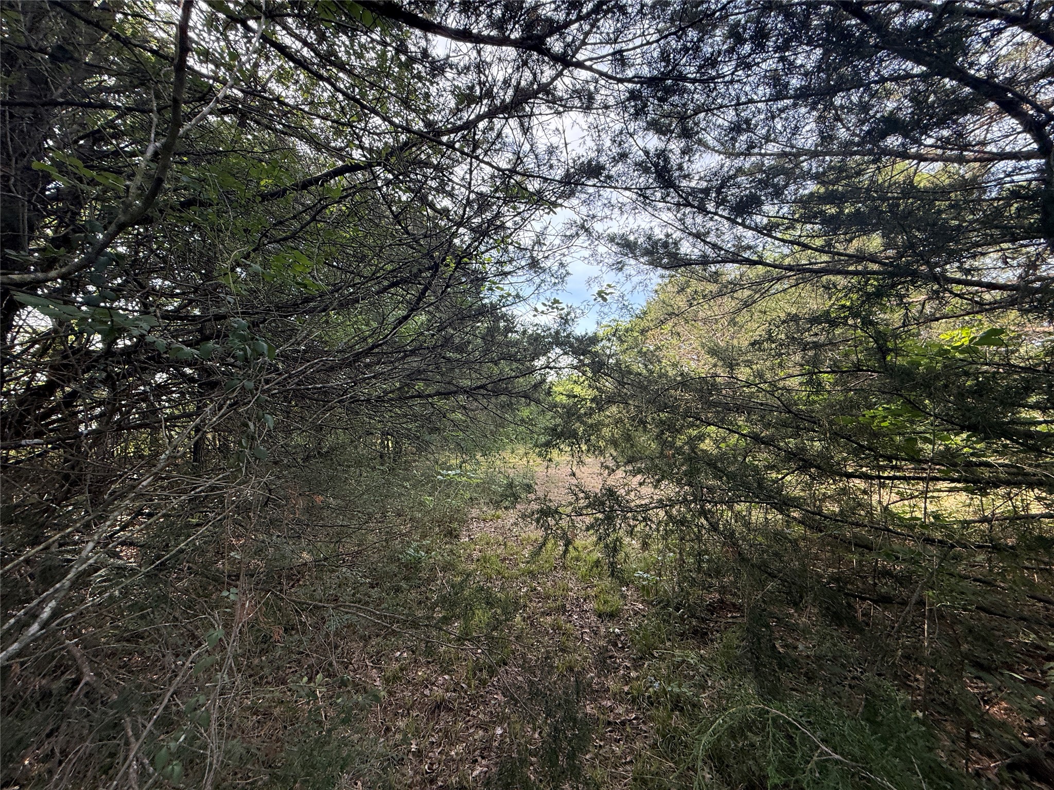 Lot 15R-2 Hout Bay Road