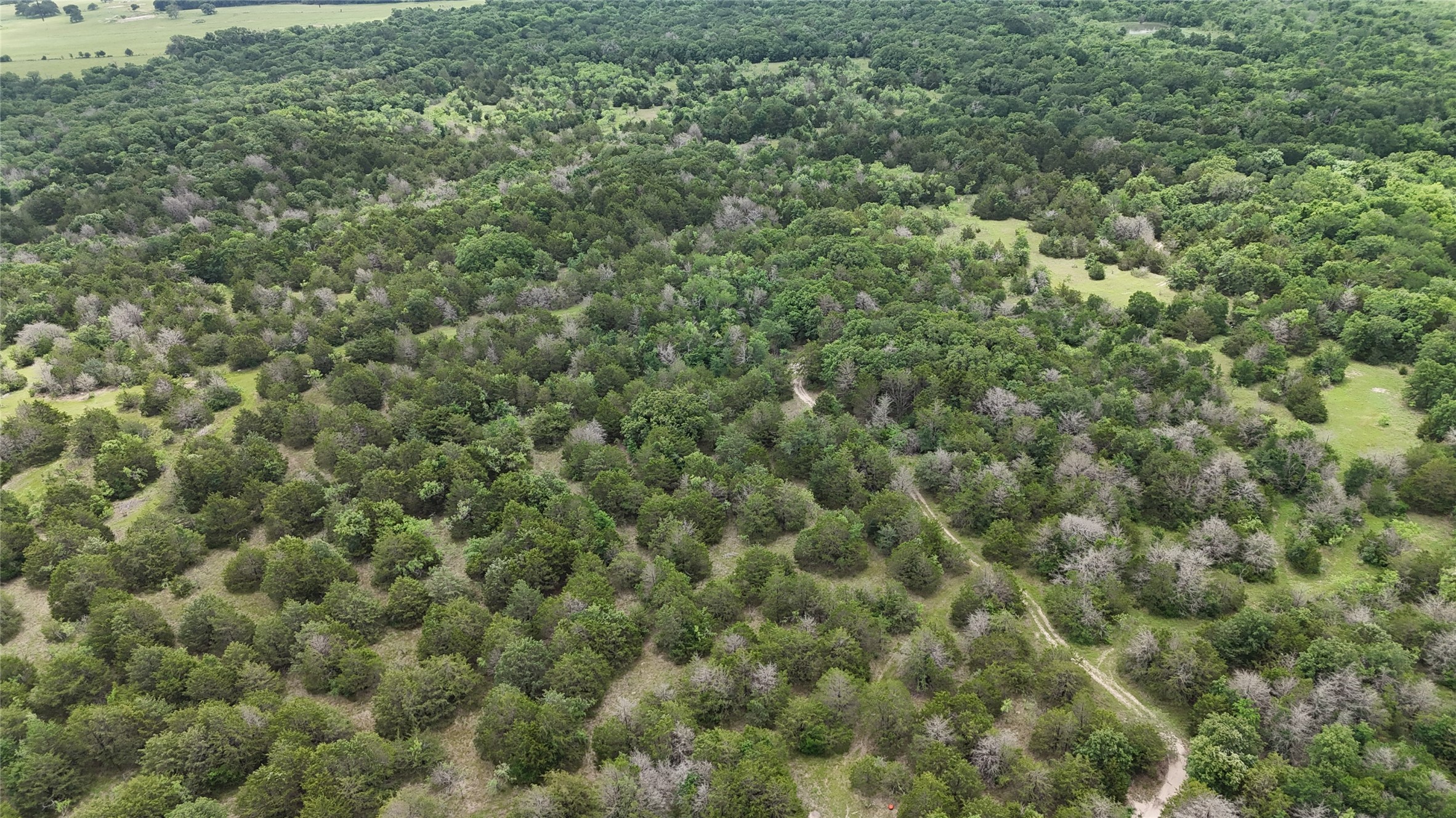 TBD 125 Acres FM 642