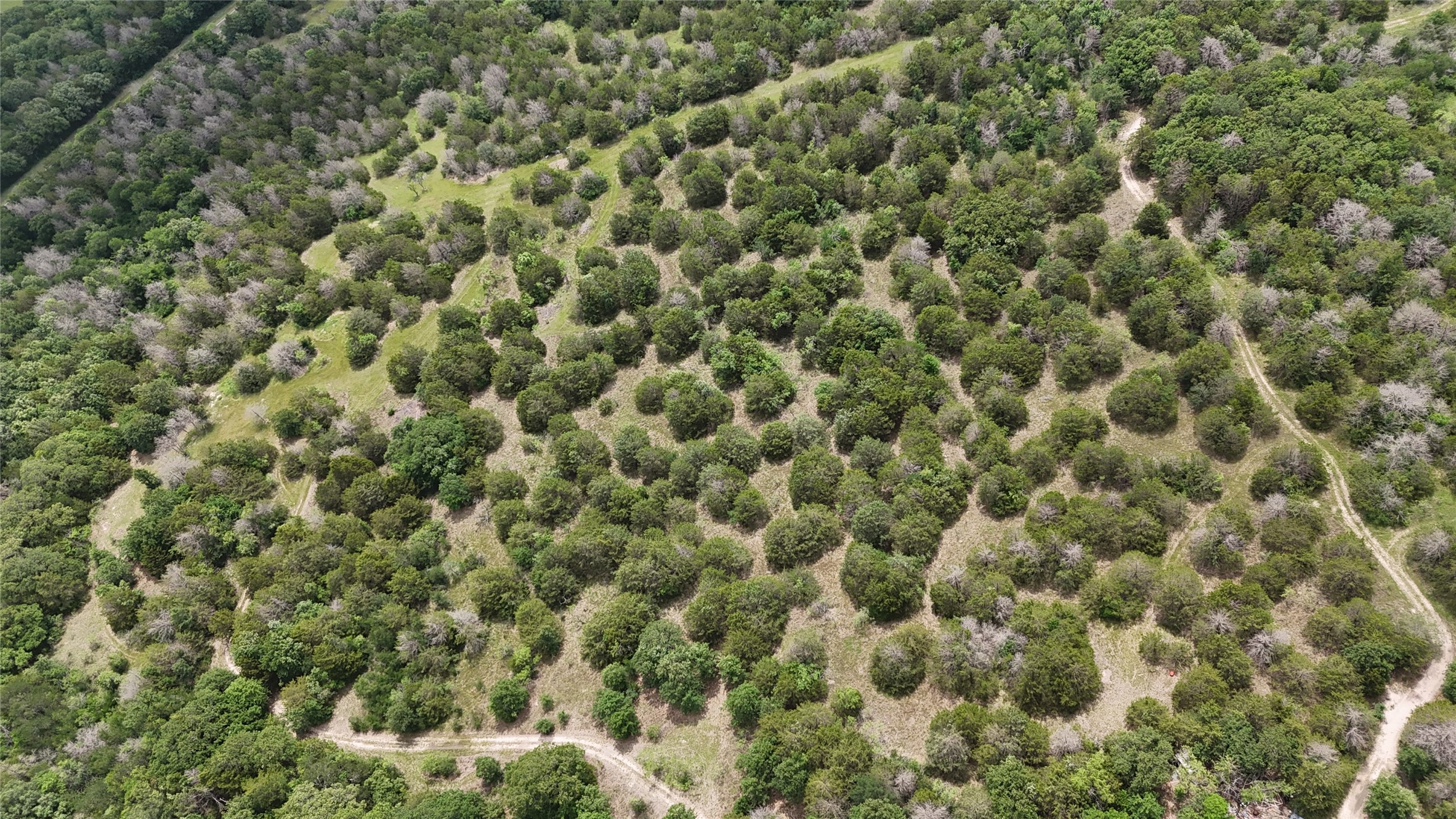 TBD 125 Acres FM 642