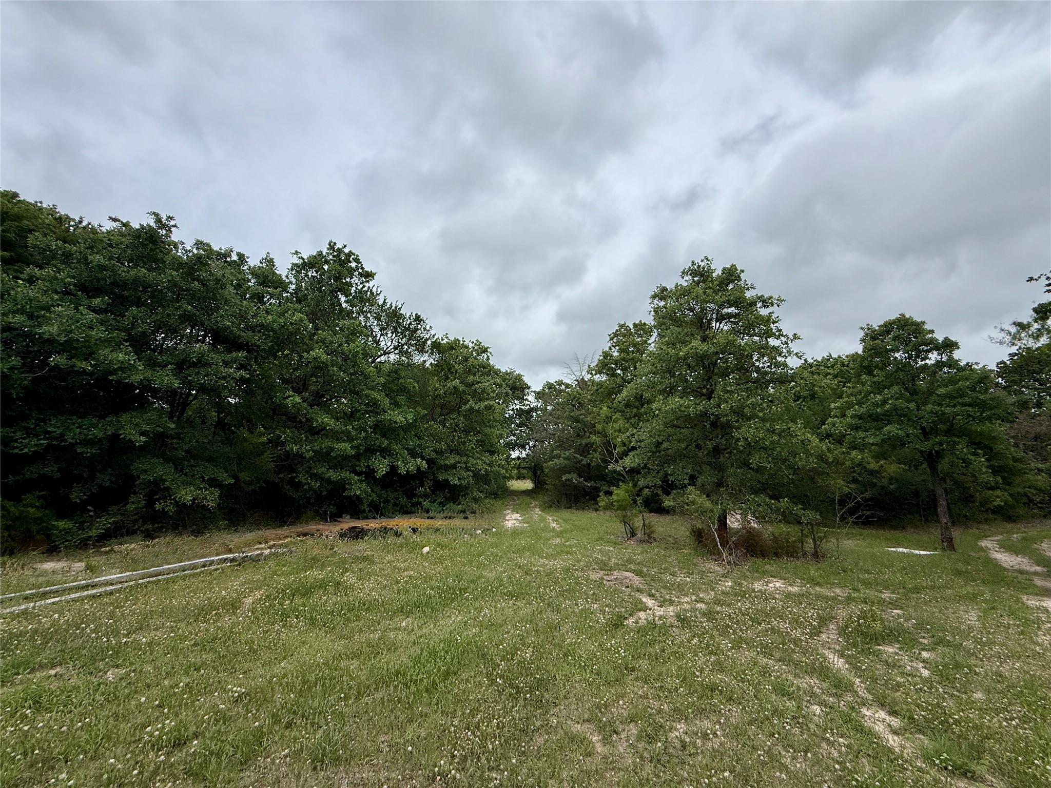 TBD 125 Acres FM 642