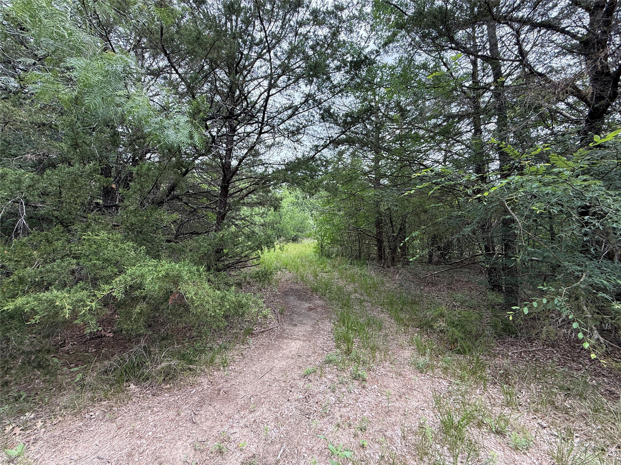 TBD 125 Acres FM 642