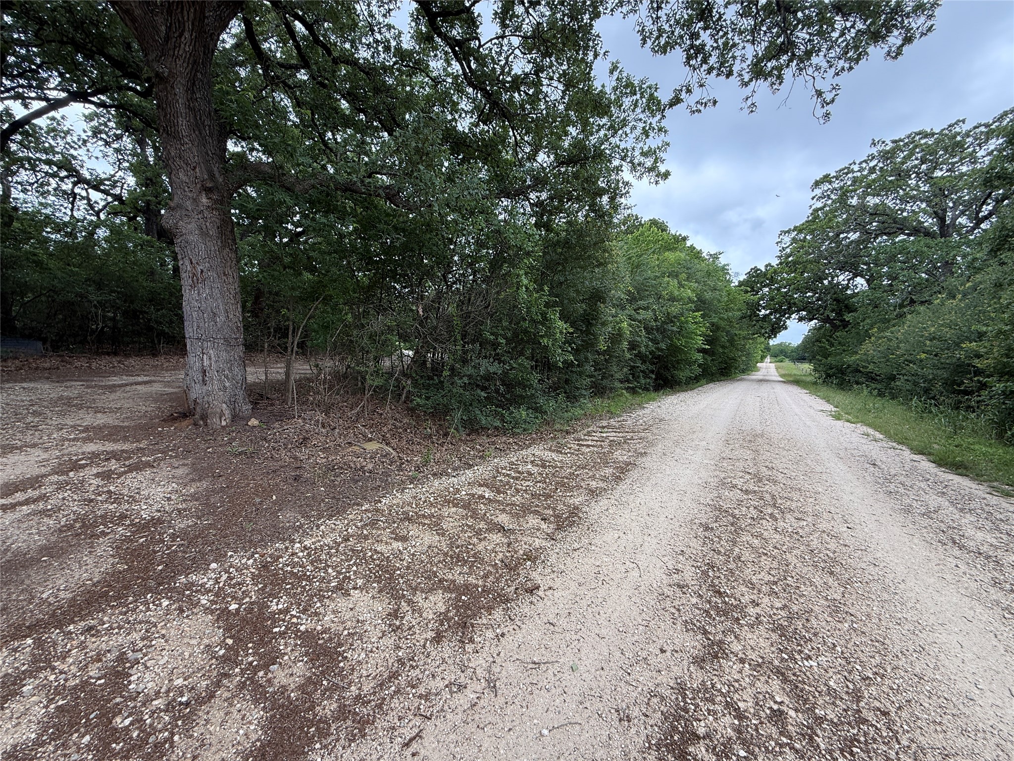 TBD 125 Acres FM 642