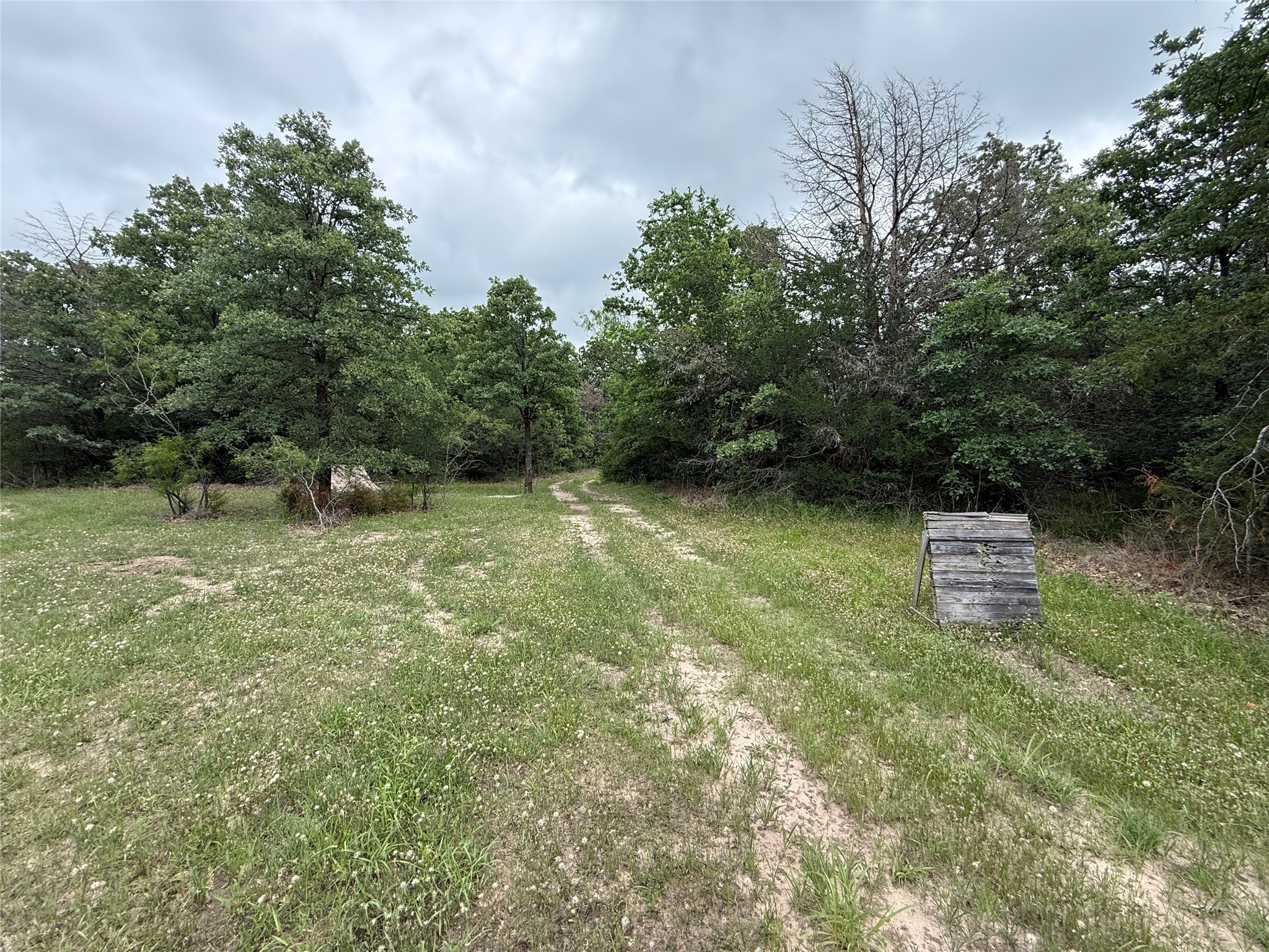 TBD 125 Acres FM 642