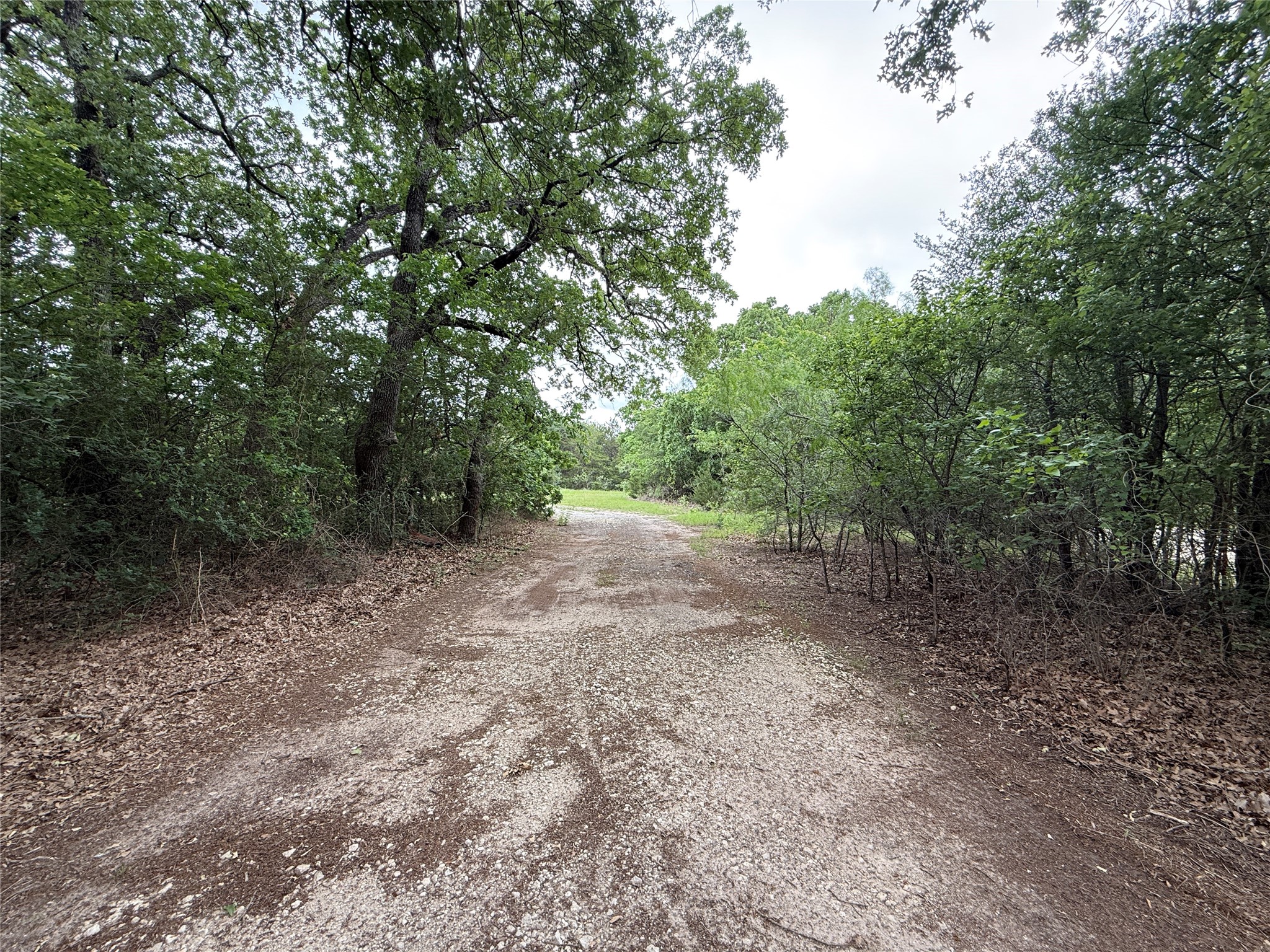 TBD 125 Acres FM 642