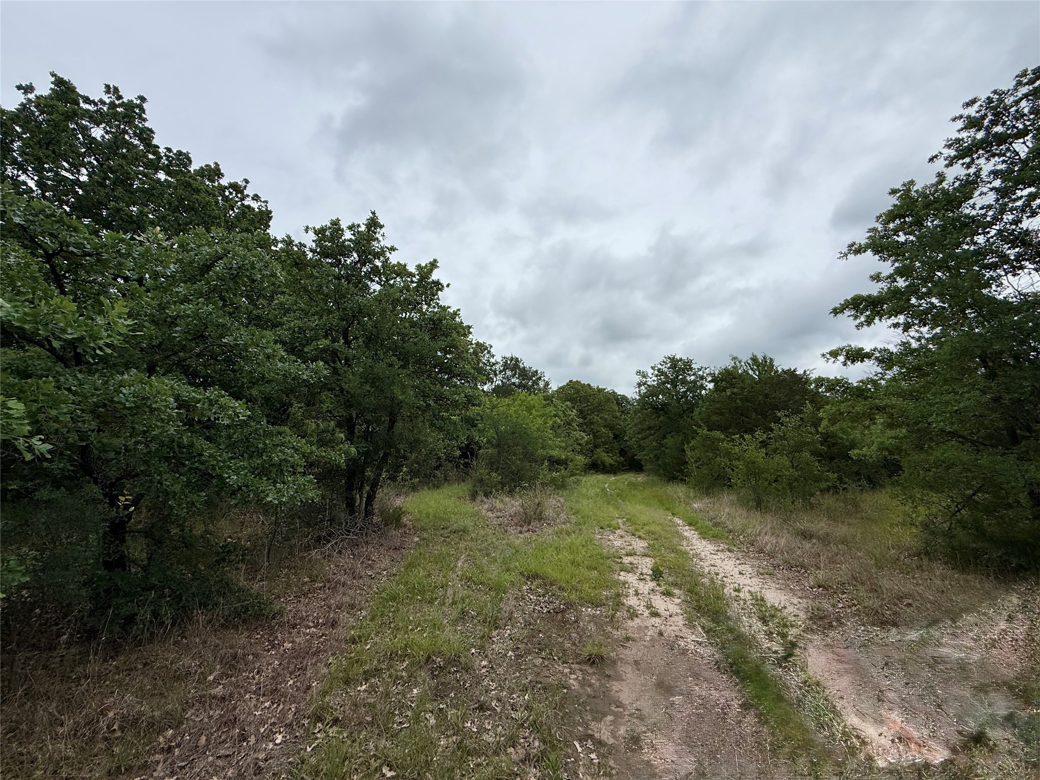 TBD 125 Acres FM 642