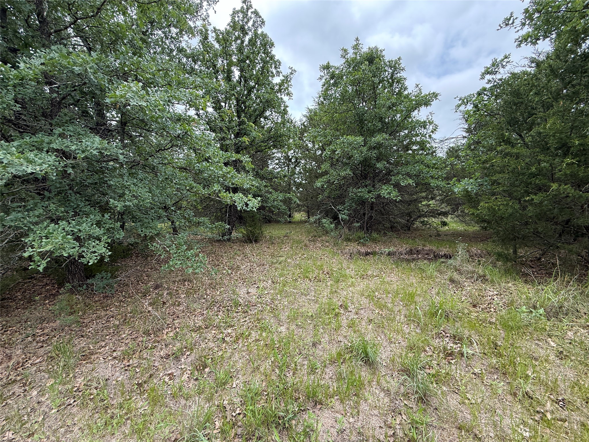TBD 125 Acres FM 642